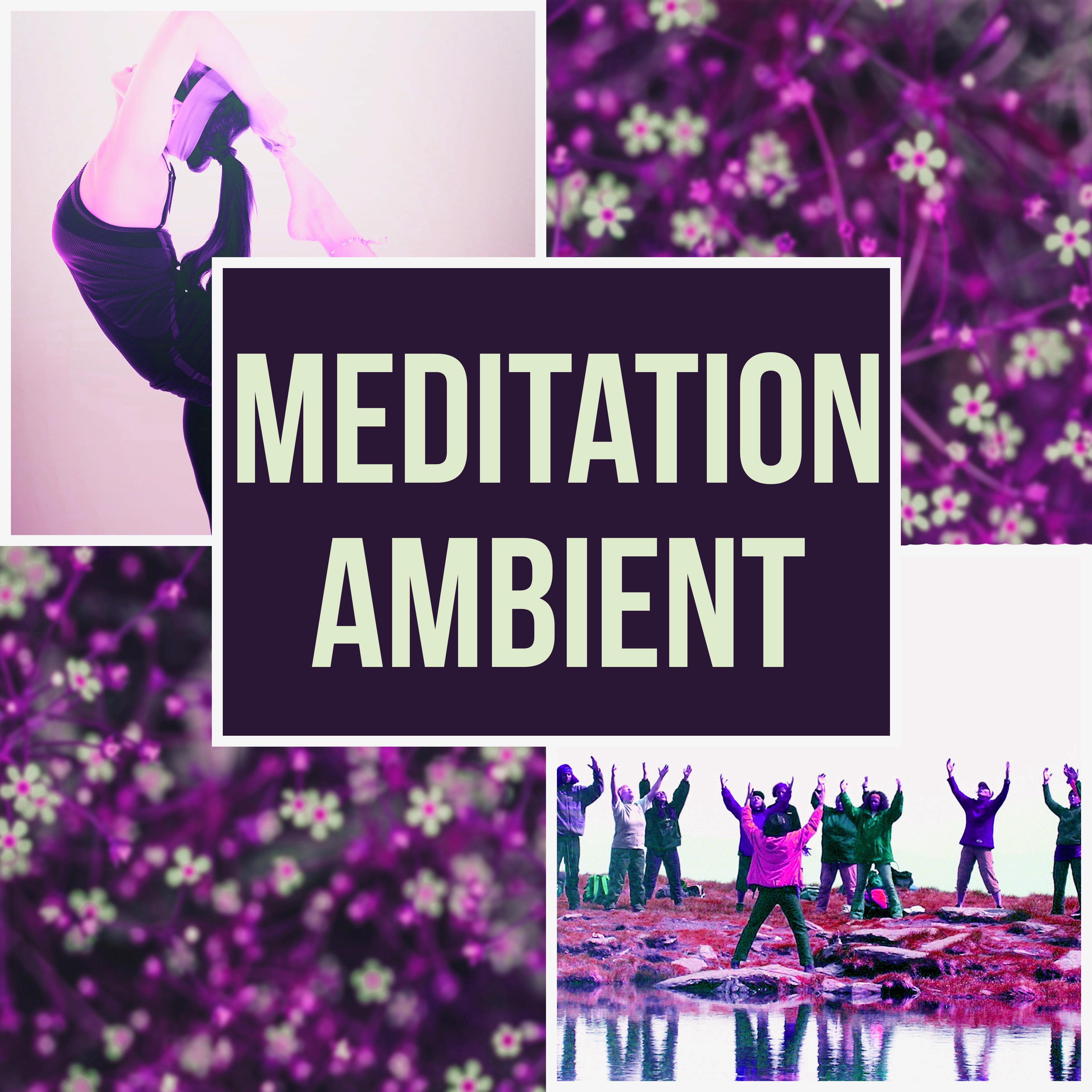 Meditation Ambient – Calm Music, Nature Sounds, Yoga, Background Music, Easy Listening, Mindfulness