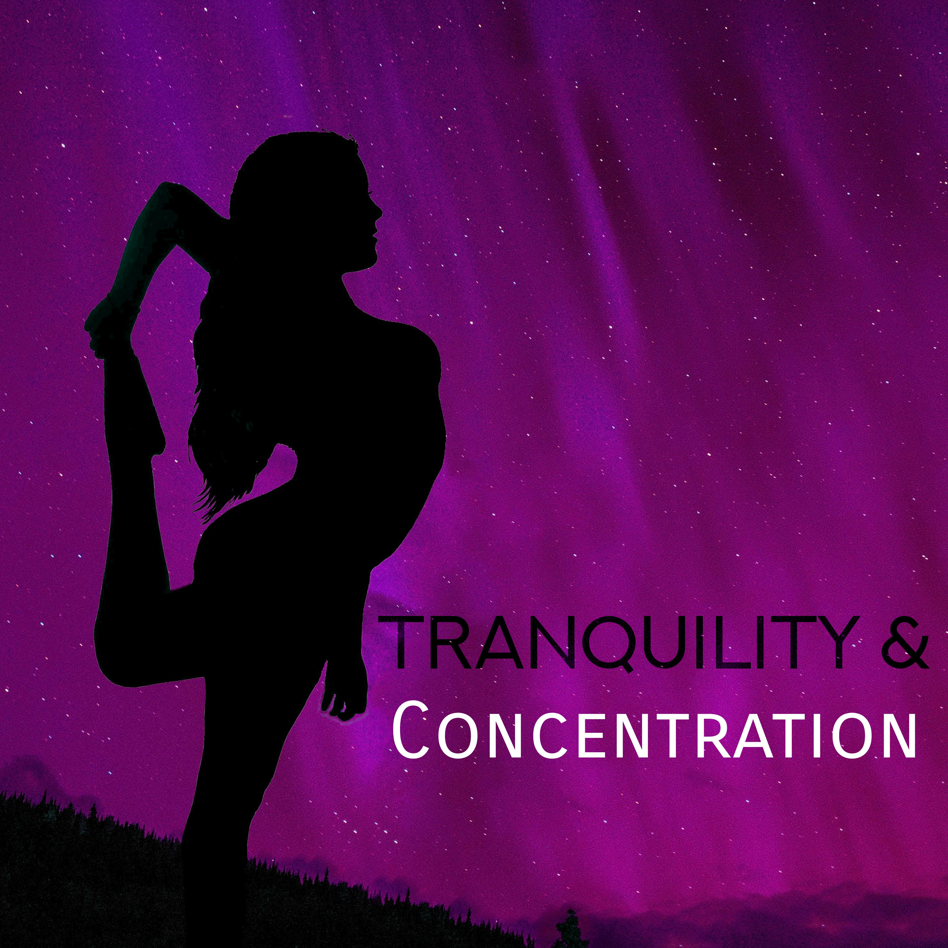 Tranquility & Concentration – Yoga Music, Deep Meditation, Relief for Body, Peaceful Mind, Calm Down