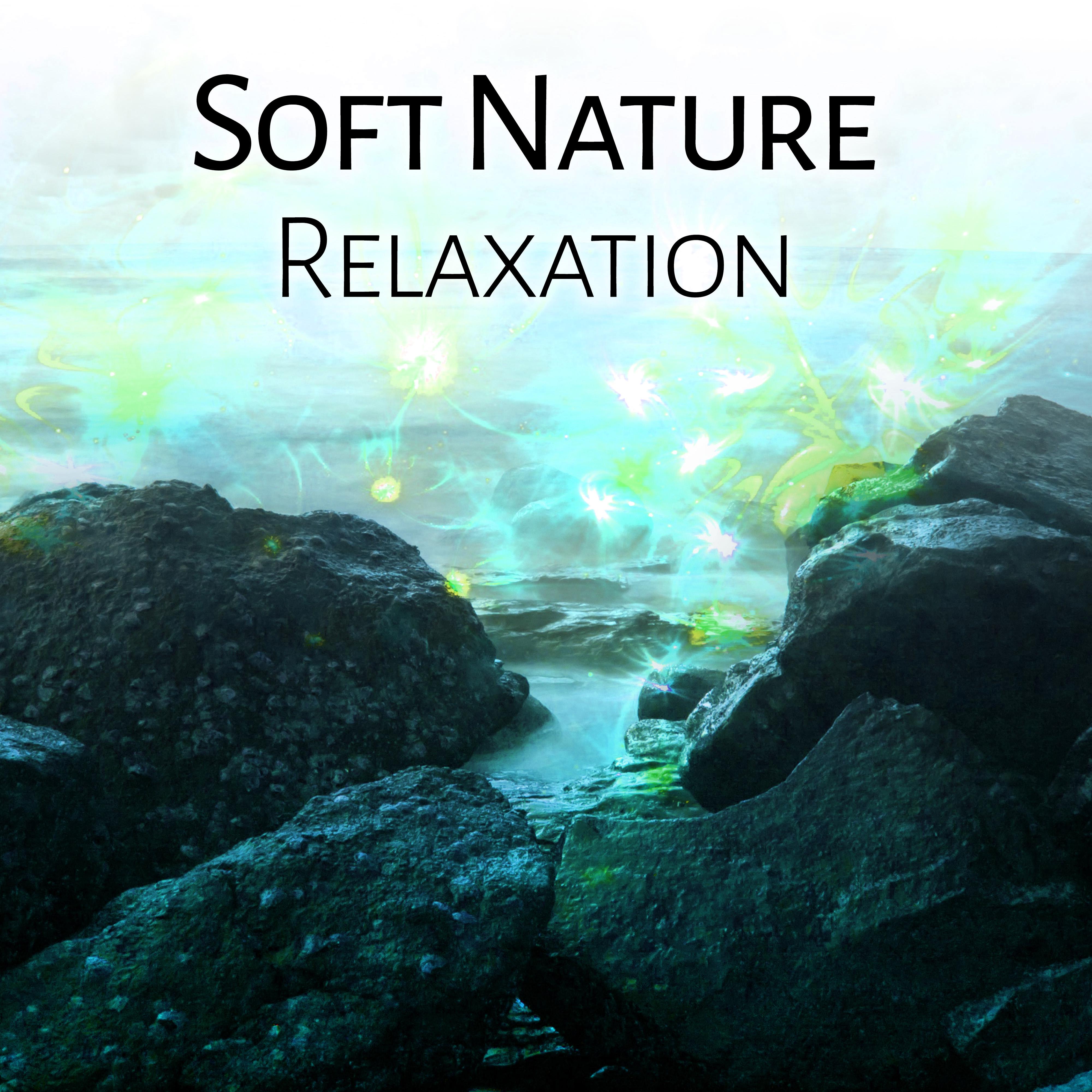 Soft Nature Relaxation – Calm Sounds, Nature Waves, Healing Music, New Age to Rest, Chilled Melodies