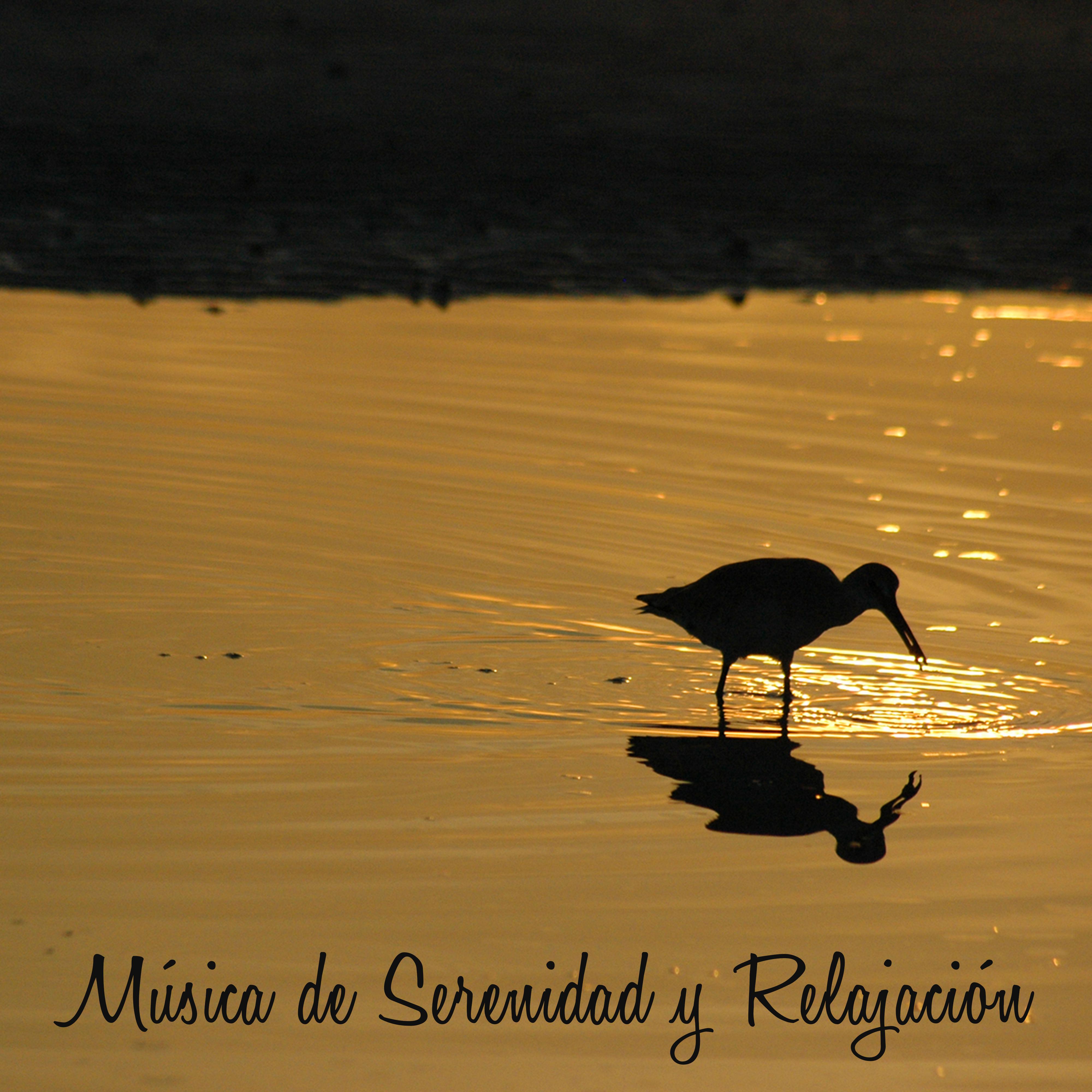Musica de Serenidad y Relajacion – Musica Relajante para Hacer Yoga y Meditar