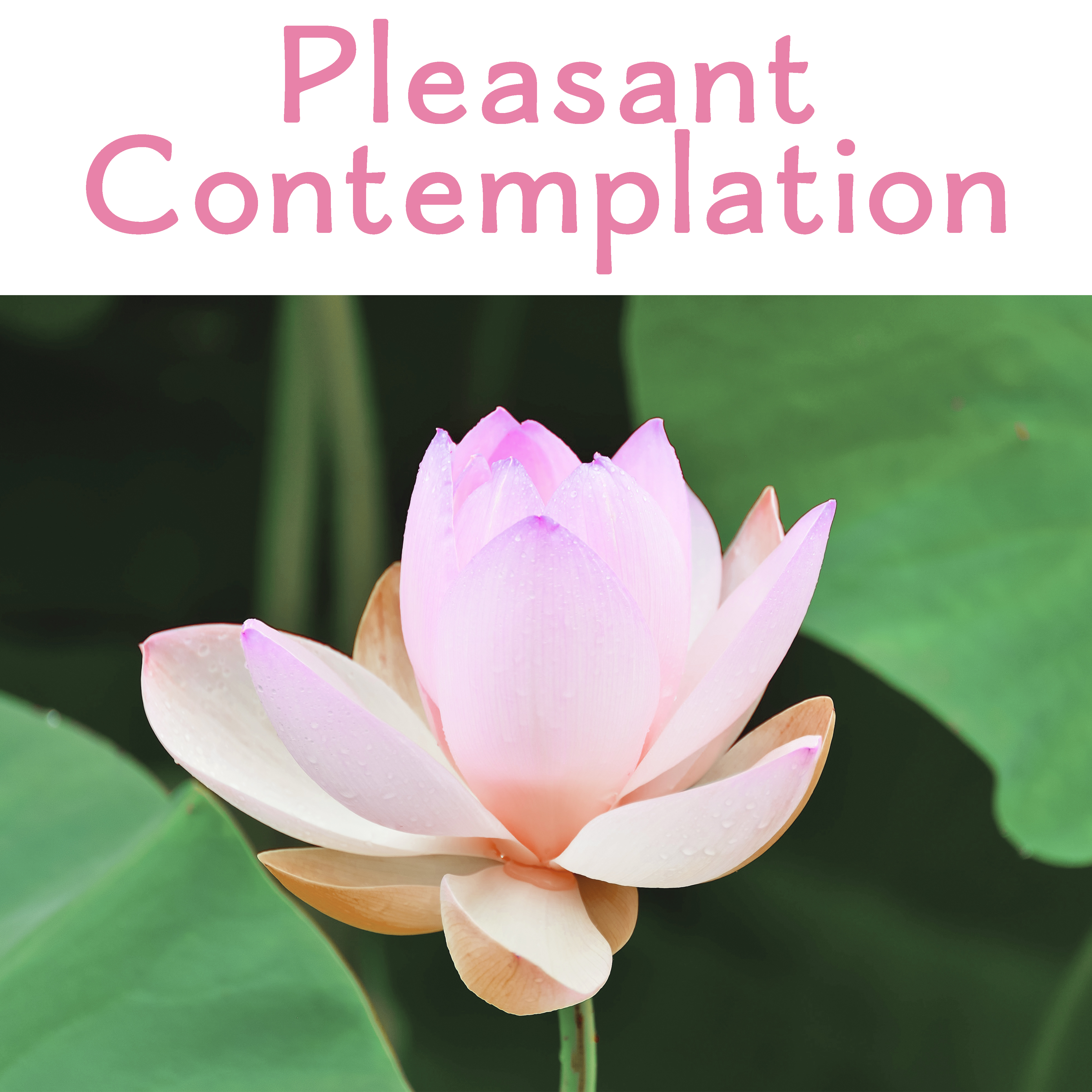 Pleasant Contemplation – Soft Music for Meditation, Yoga, Pure Chill, Chakra, Soft Mindfulness, Reiki Music