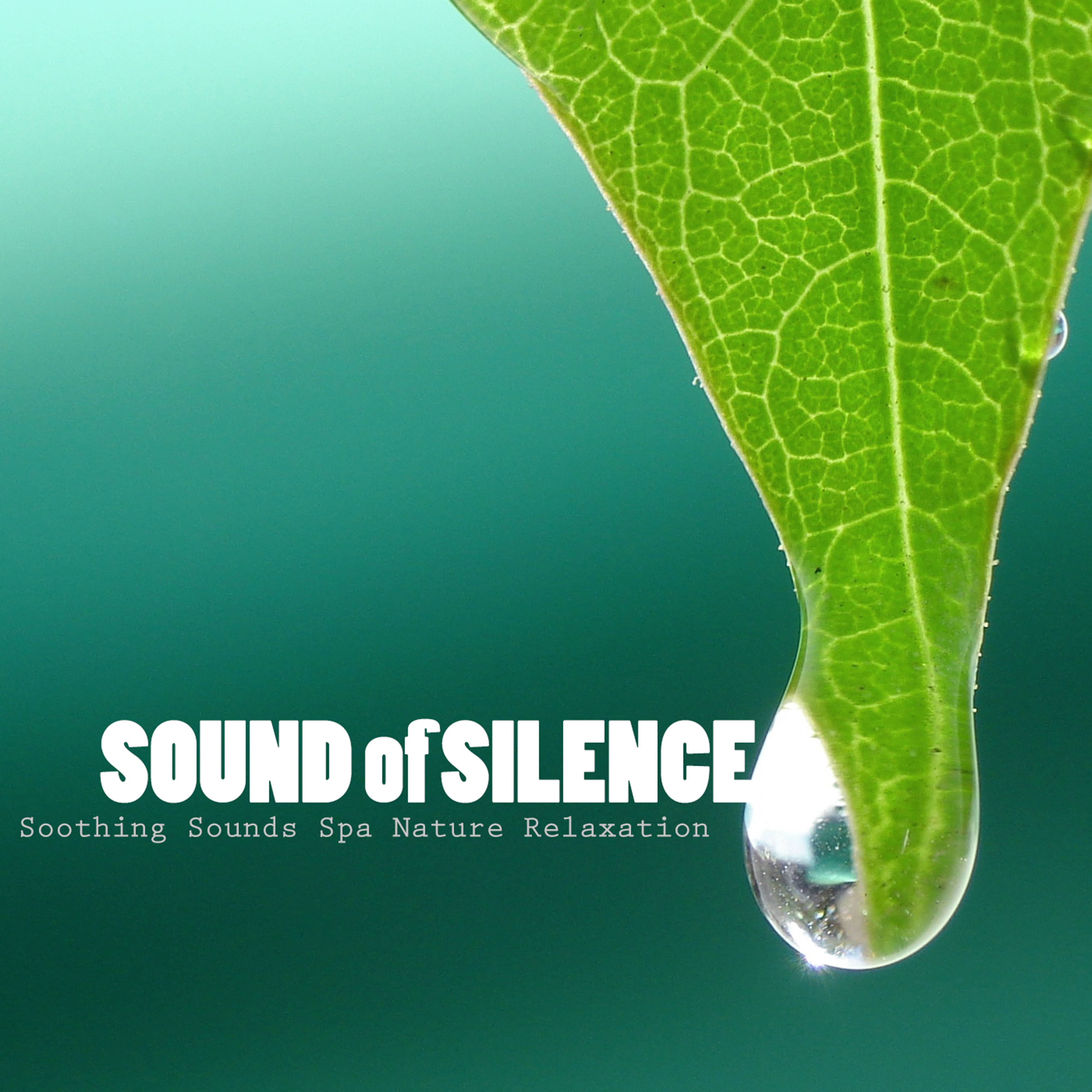 Soothing Sounds of Nature