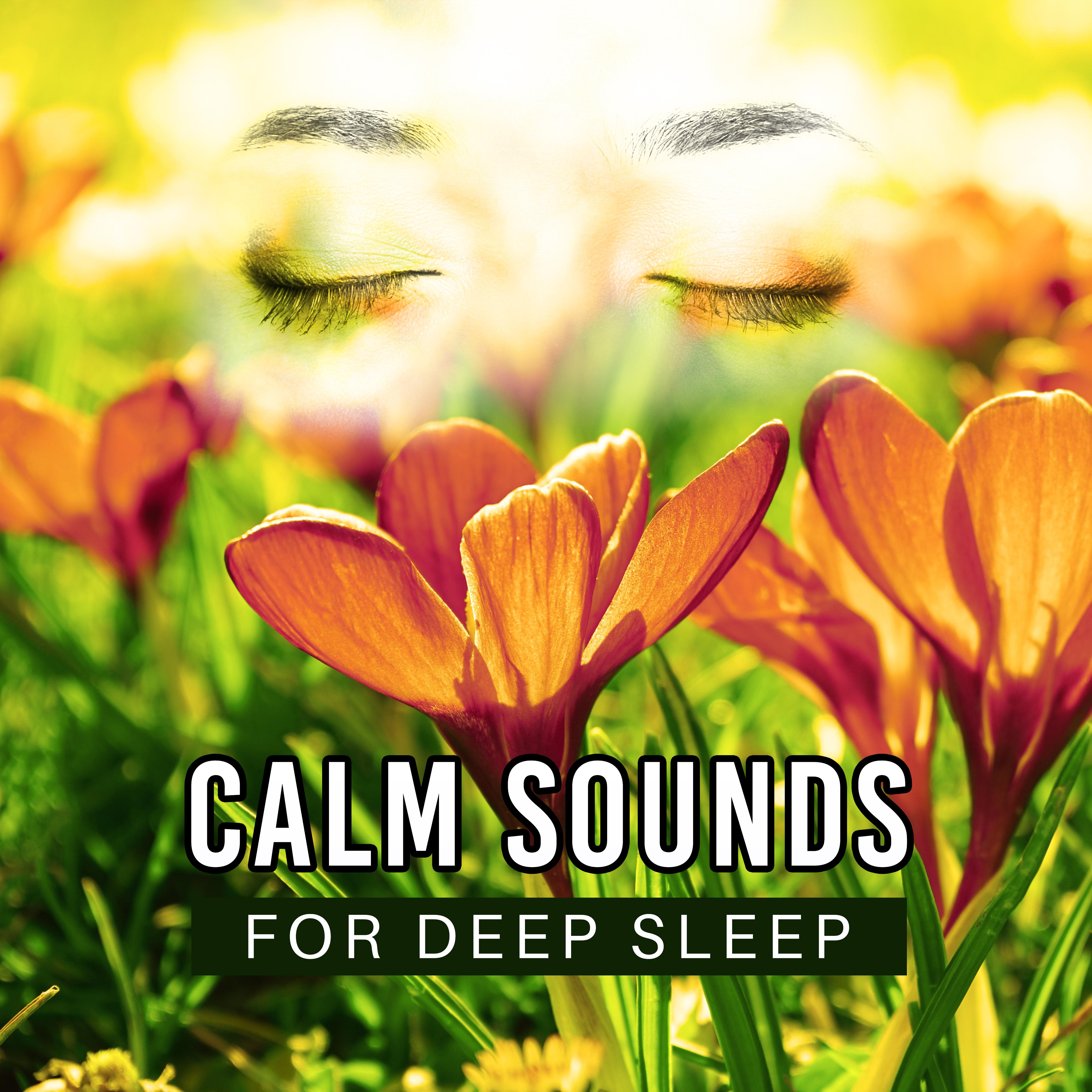 Calm Sounds for Deep Sleep – Soothing Waves, Calmness Dreaming, Mind Rest, New Age Music