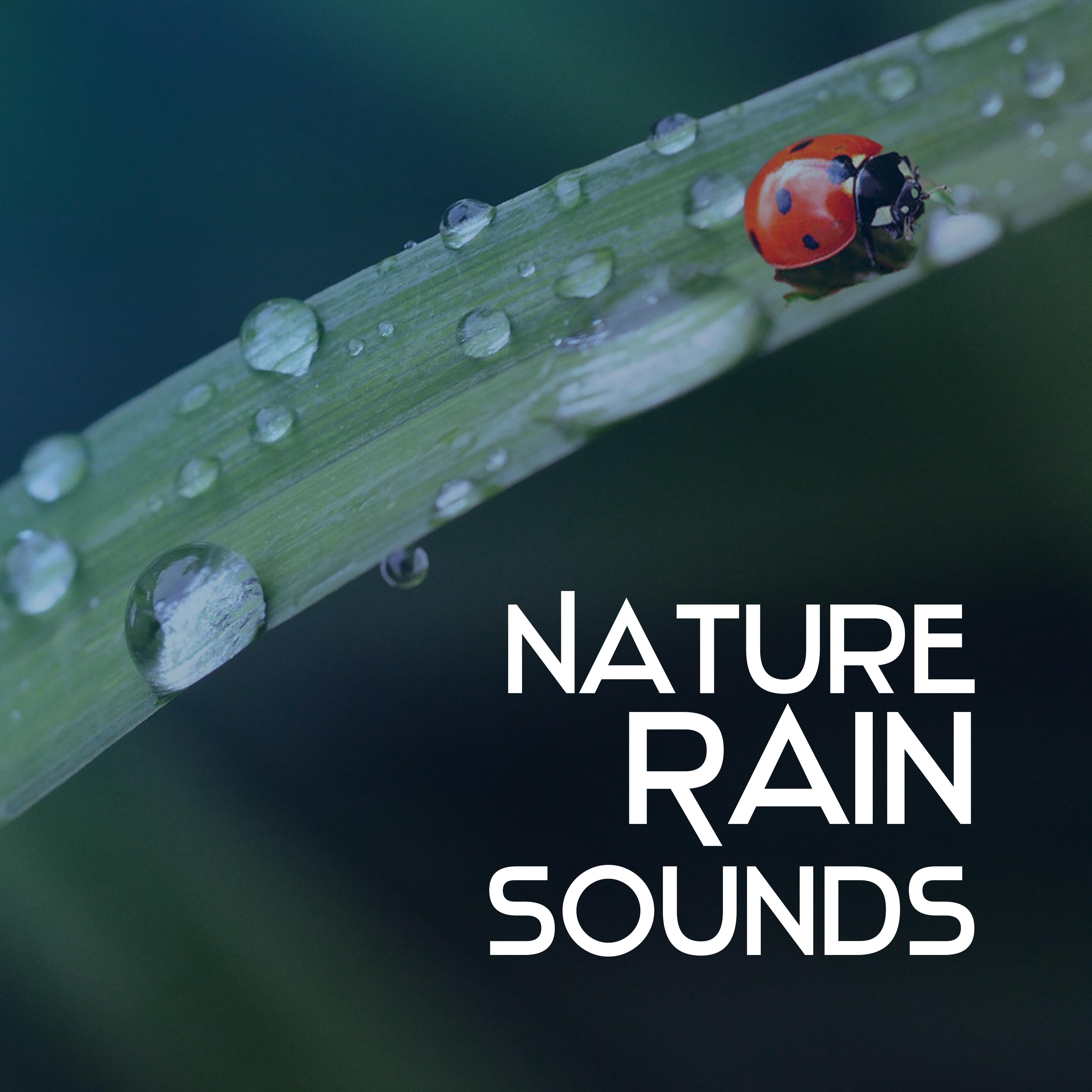 Nature Rain Sounds – Calming Water Waves, Soothing Sounds, Relaxing Rain, Healing Vibes