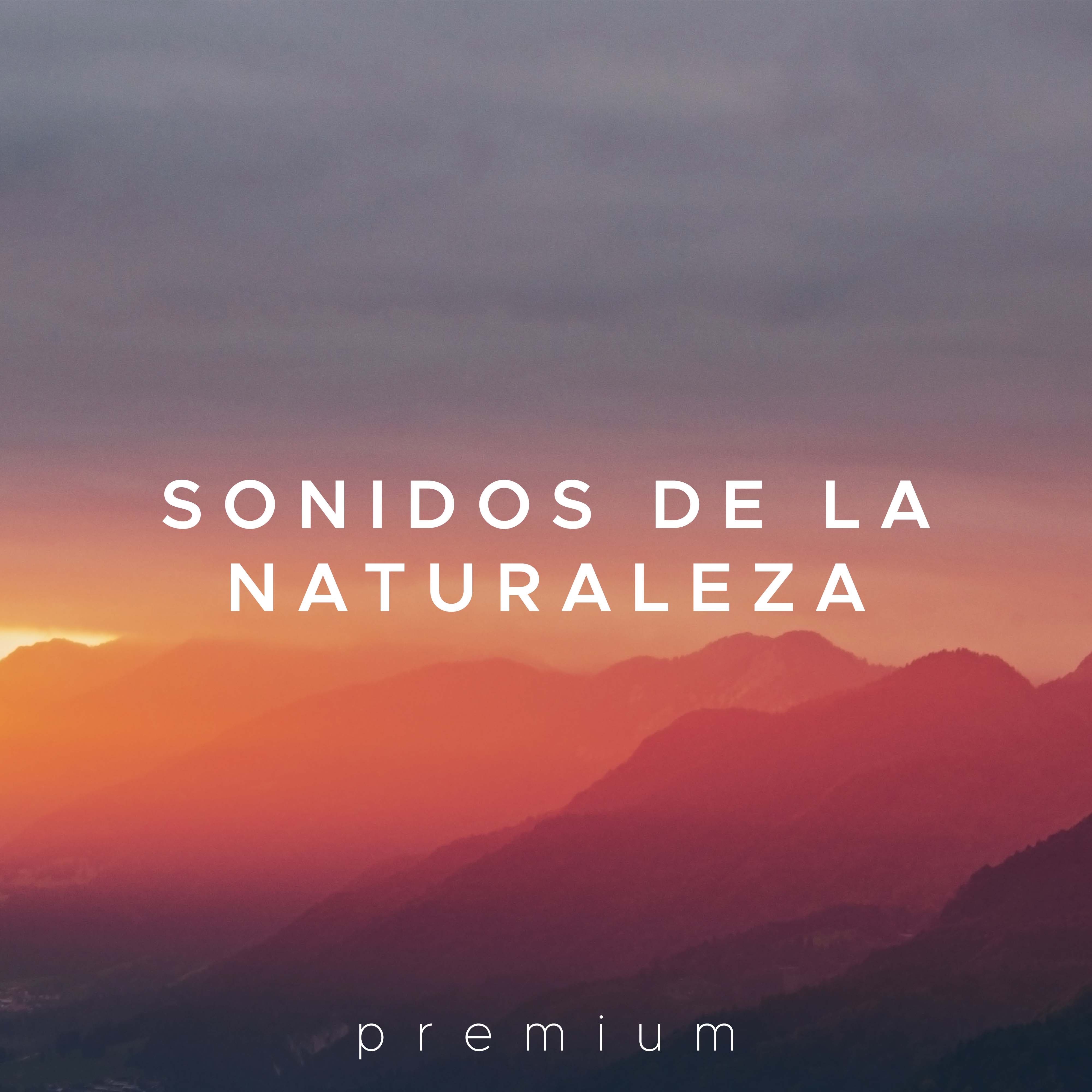 Sonidos de la Naturaleza Premium - Musica Relajante para tu Calma, Tranquilidad y Paz Interior