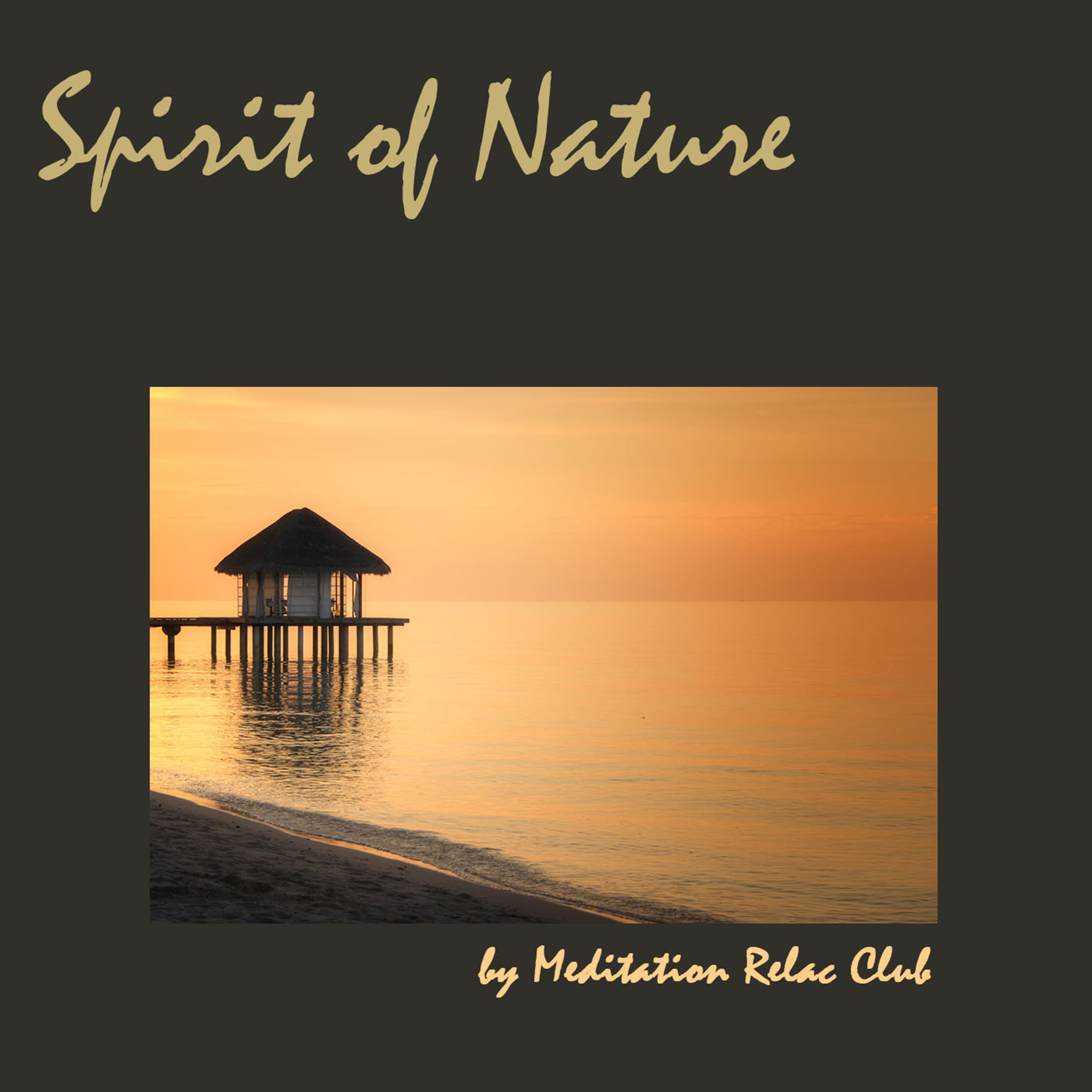 Spirit of Nature: Relaxing New Age Nature Sounds Meditation Music for Yoga, Reiki, Qi Gong and Tai Chi