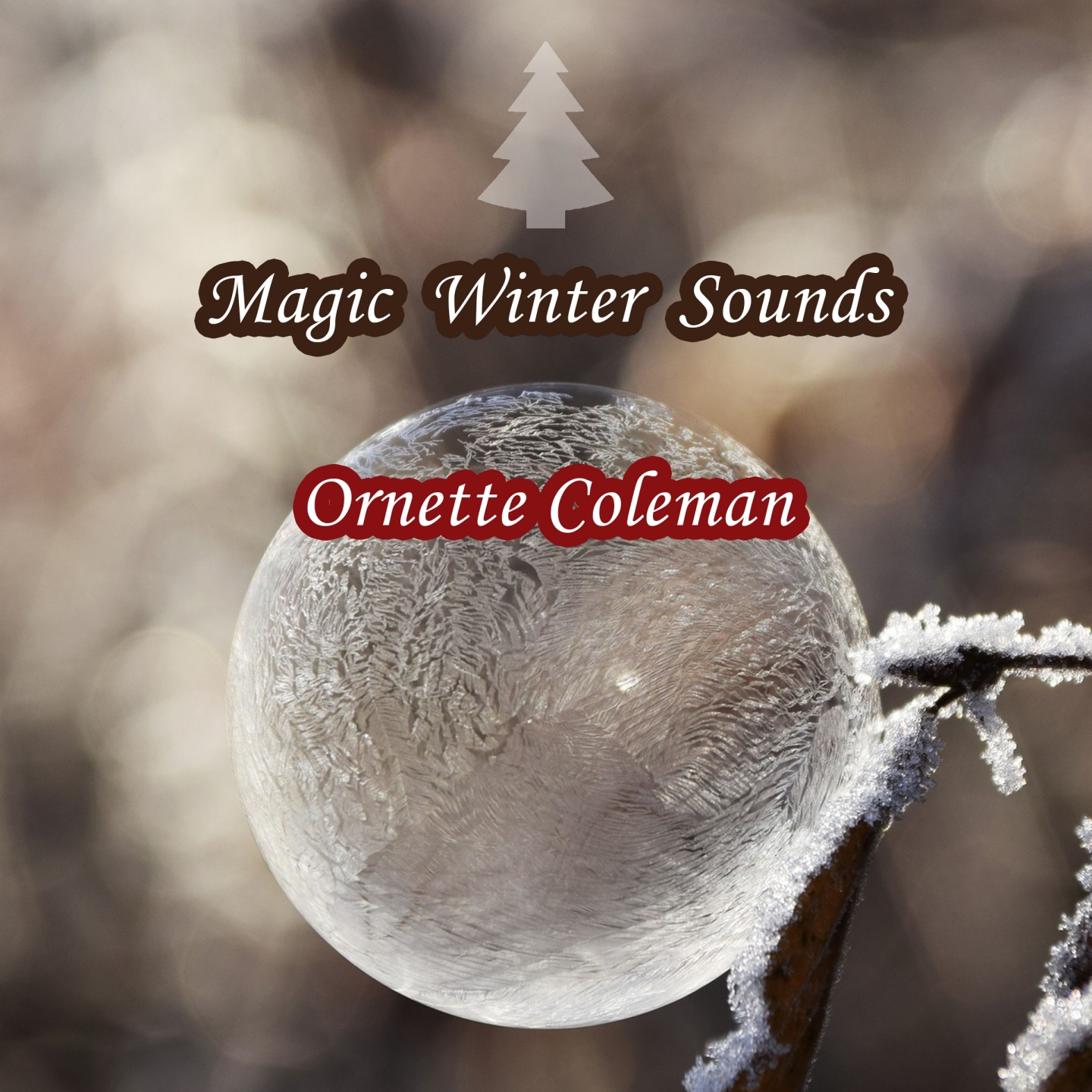 Magic Winter Sounds