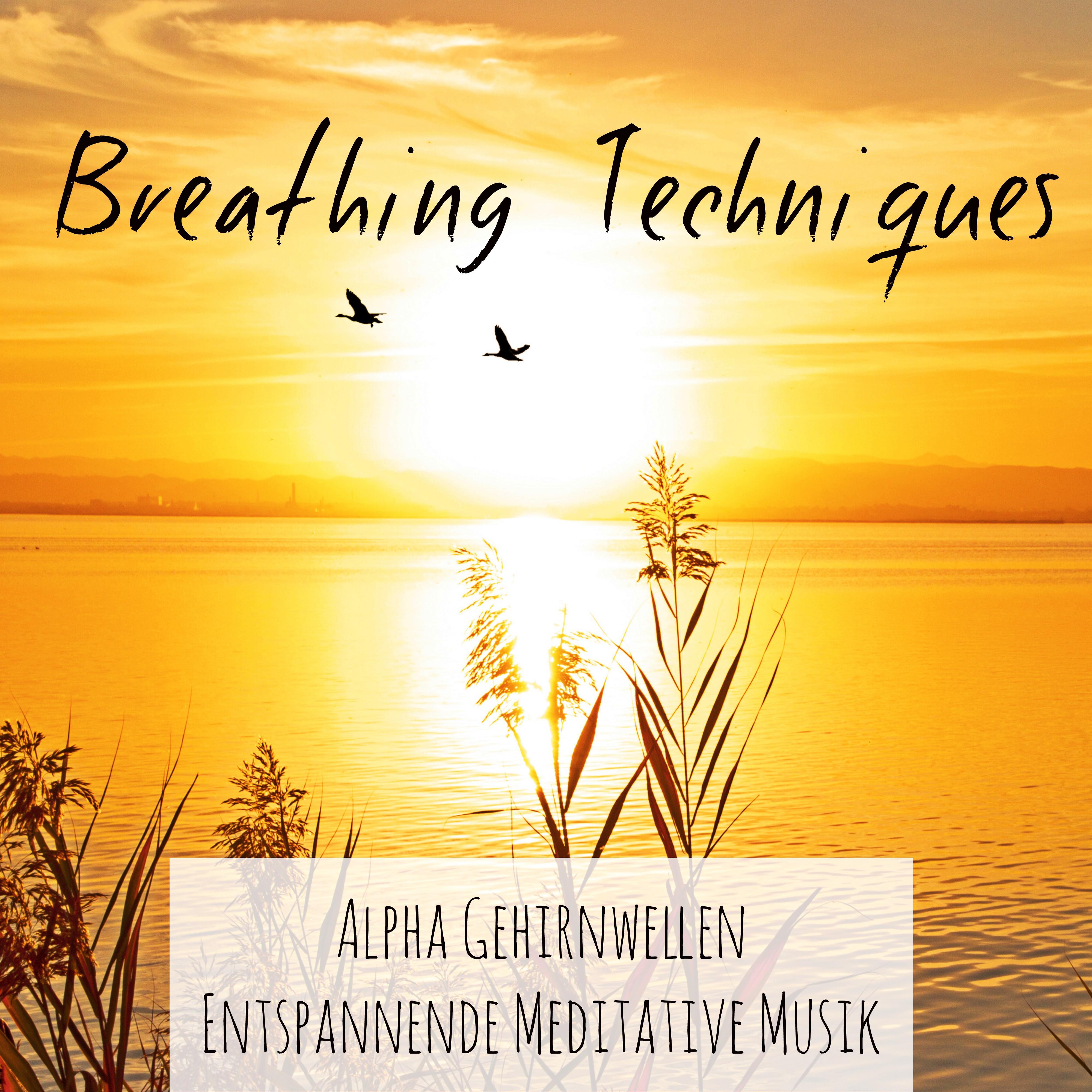 Breathing Techniques - Andlig Vägledning Lugn Meditativ Musik för Mindfulnessträning Sömnbesvär med New Age Helande Instrumental Ljud
