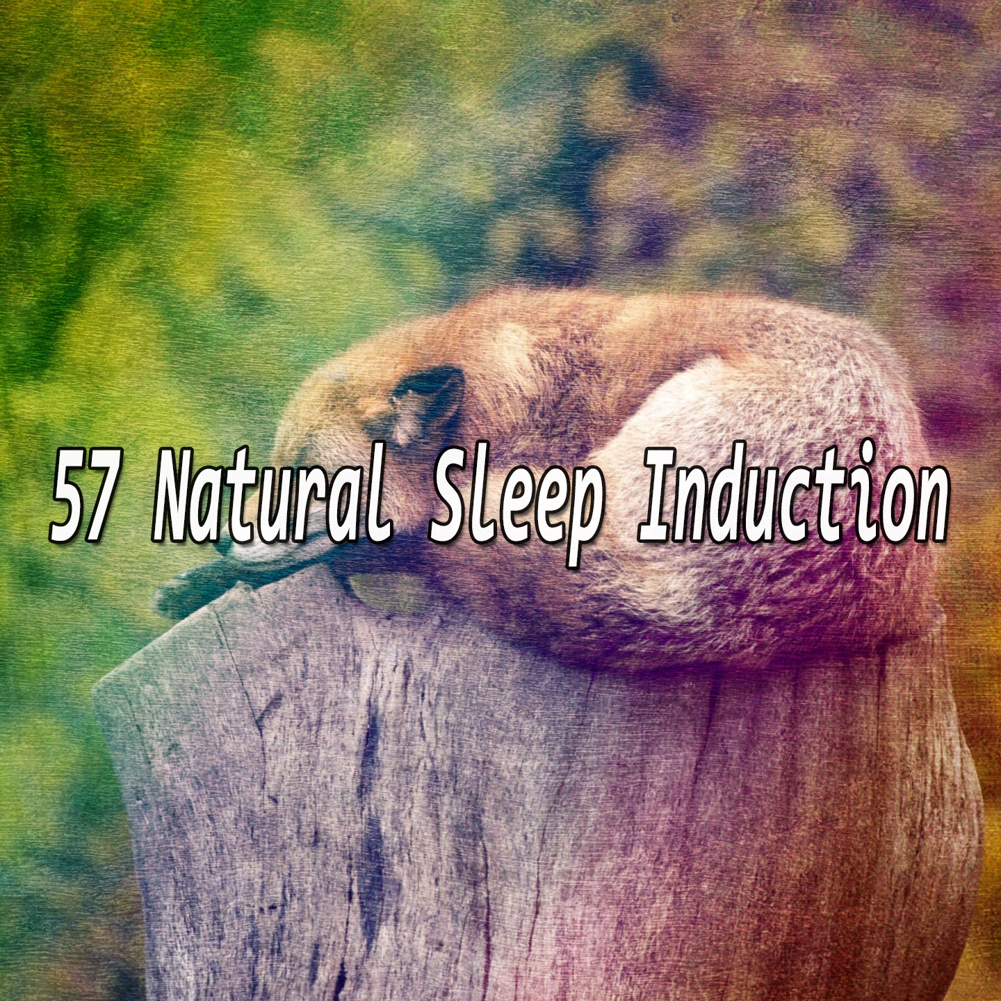 57 Natural Sleep Induction