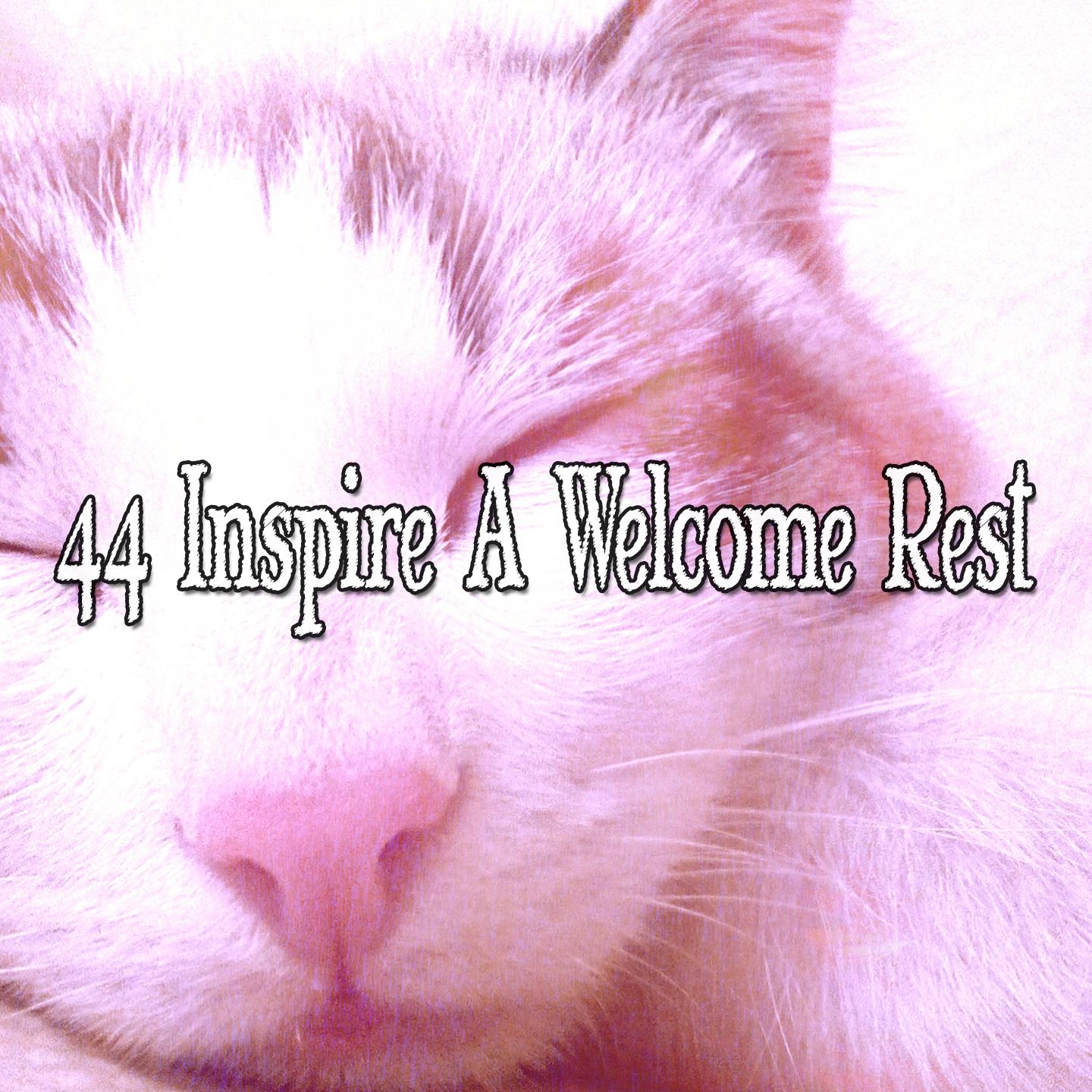 44 Inspire A Welcome Rest
