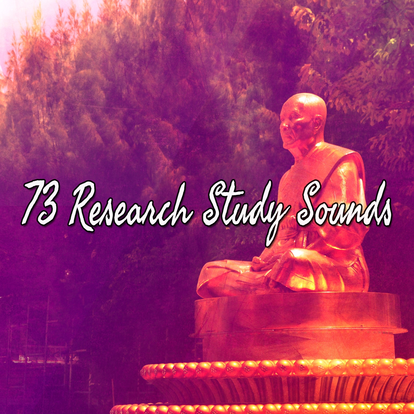 73 Research Study Sounds