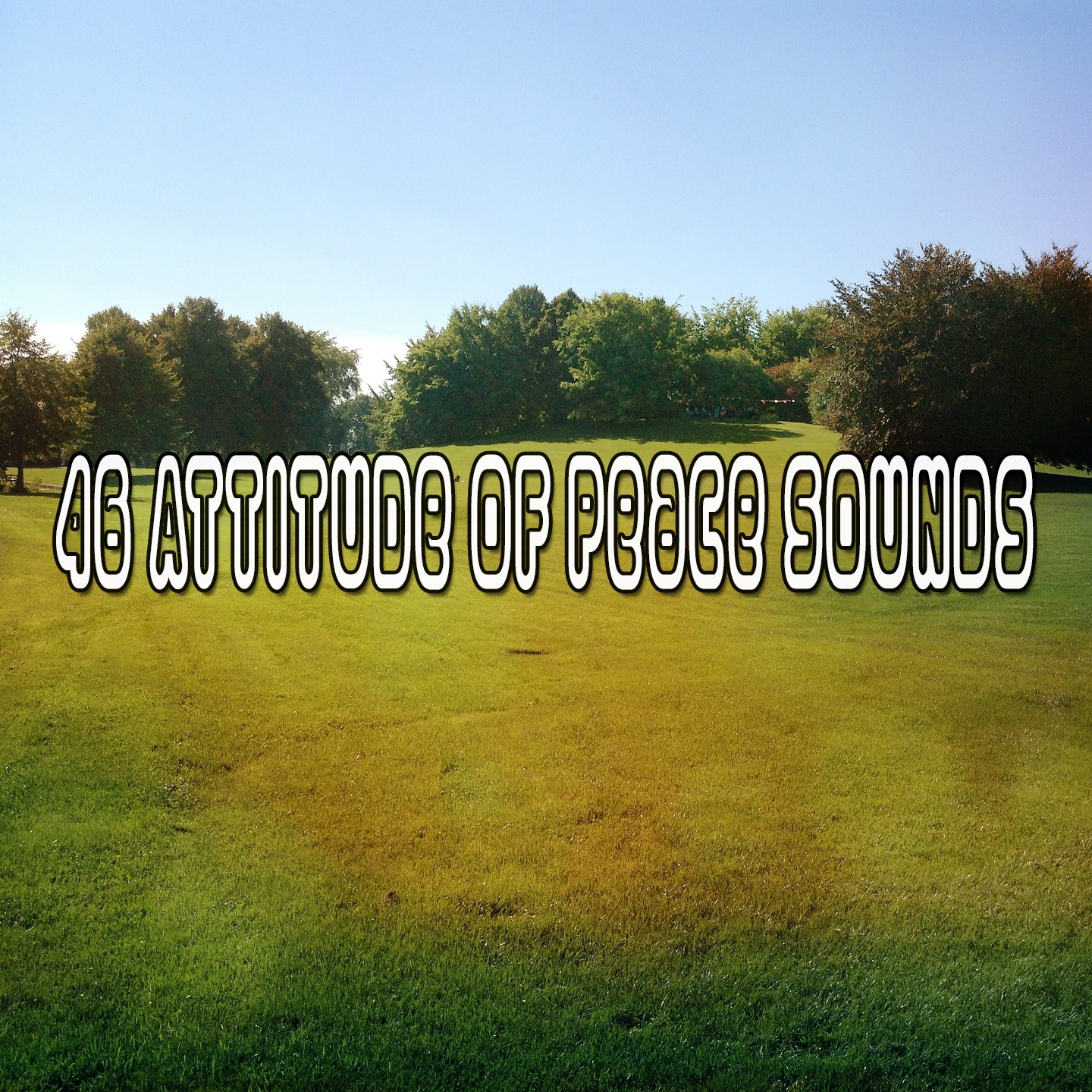 46 Attitude Of Peace Sounds