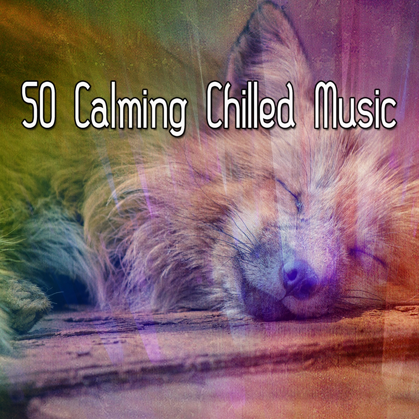 50 Calming Chilled Music