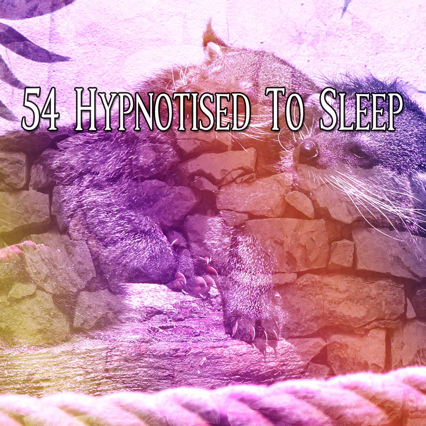 54 Hypnotised To Sleep