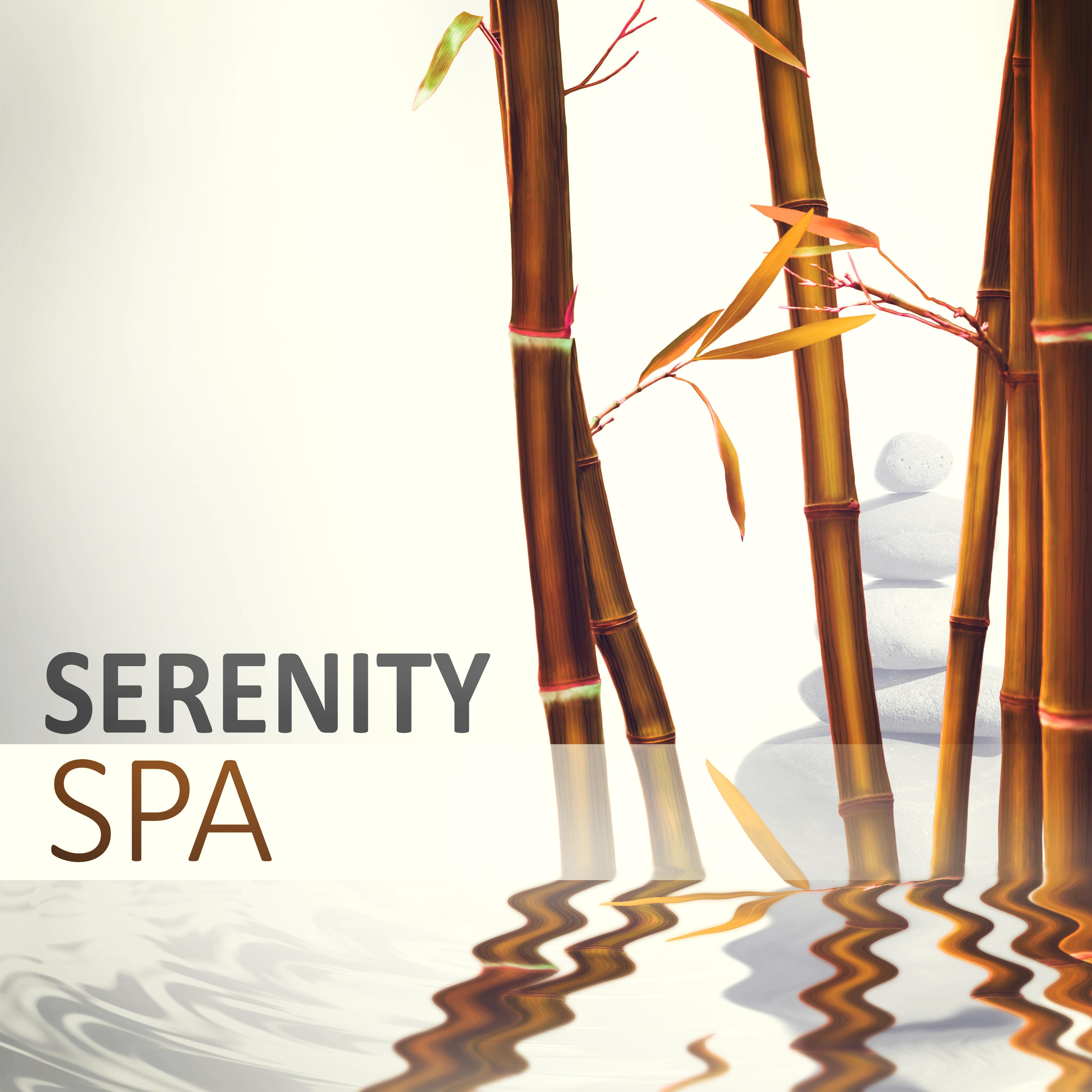 Serenity Spa - Meditation, Reiki, Wellness, Sleep, Natural White Noise, Reflexology, Shiatsu, Physical Therapy