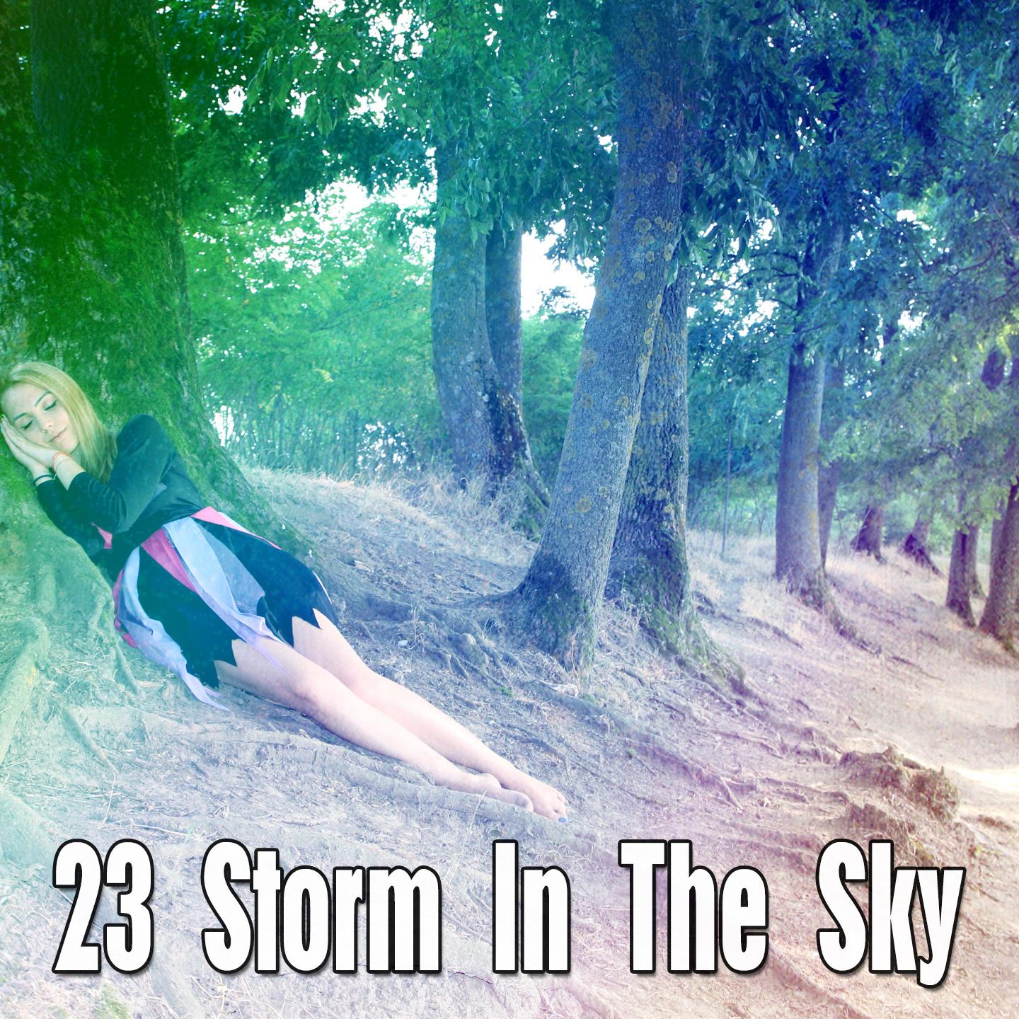 23 Storm In The Sky