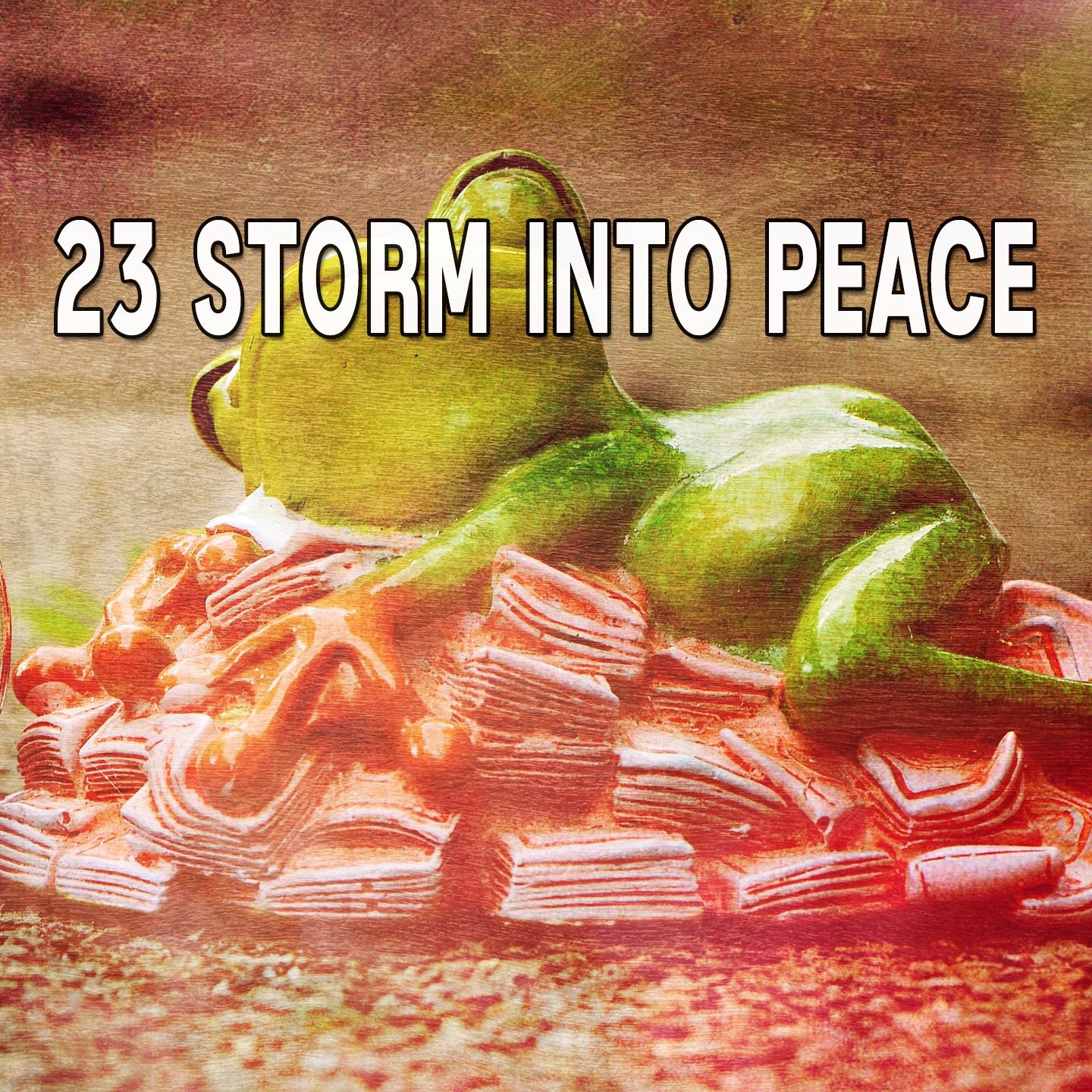 23 Storm Into Peace