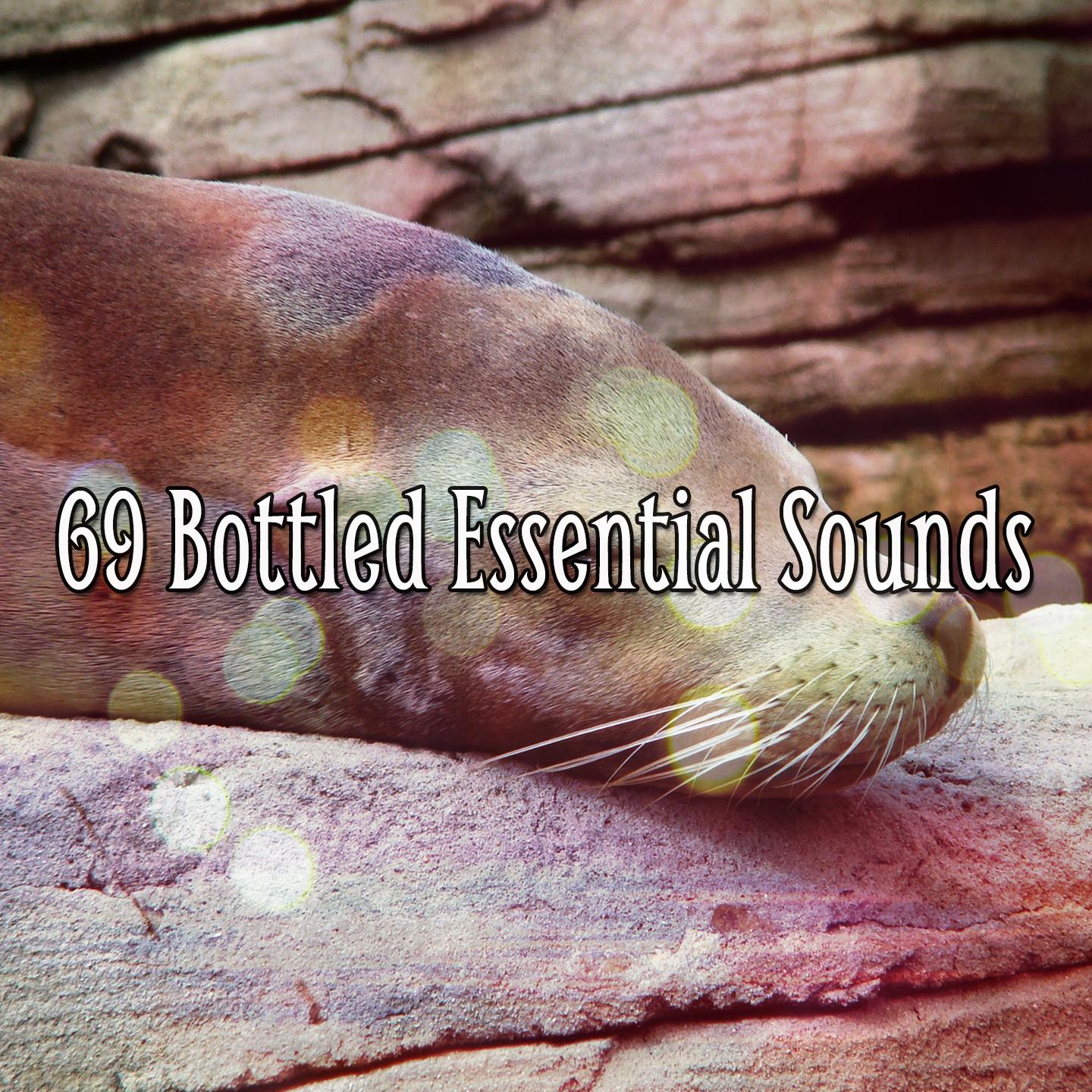 69 Bottled Essential Sounds