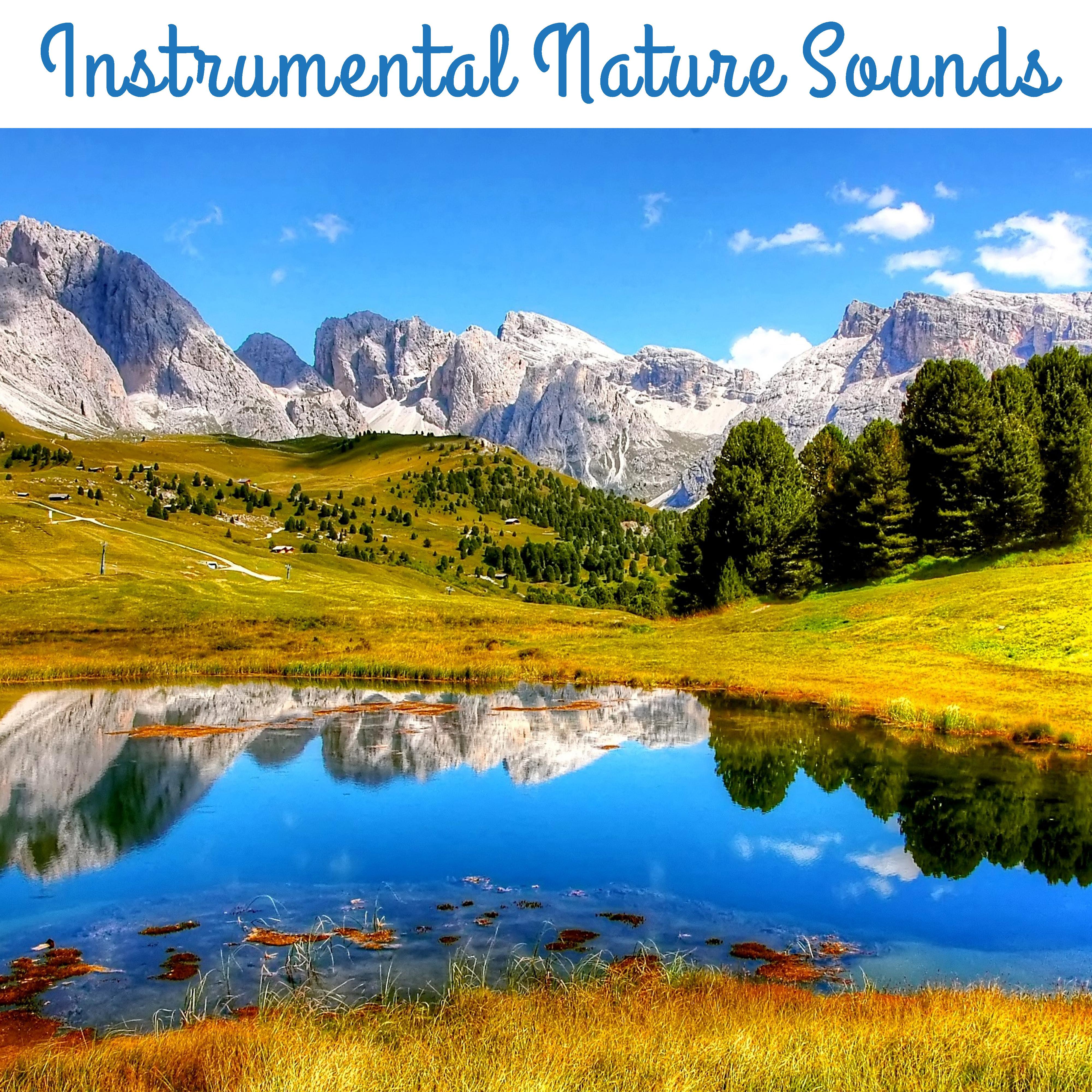 Instrumental Nature Sounds – Nature Healing Touch, Easy Listening, Peaceful Waves, Stress Relief, Inner Calmness