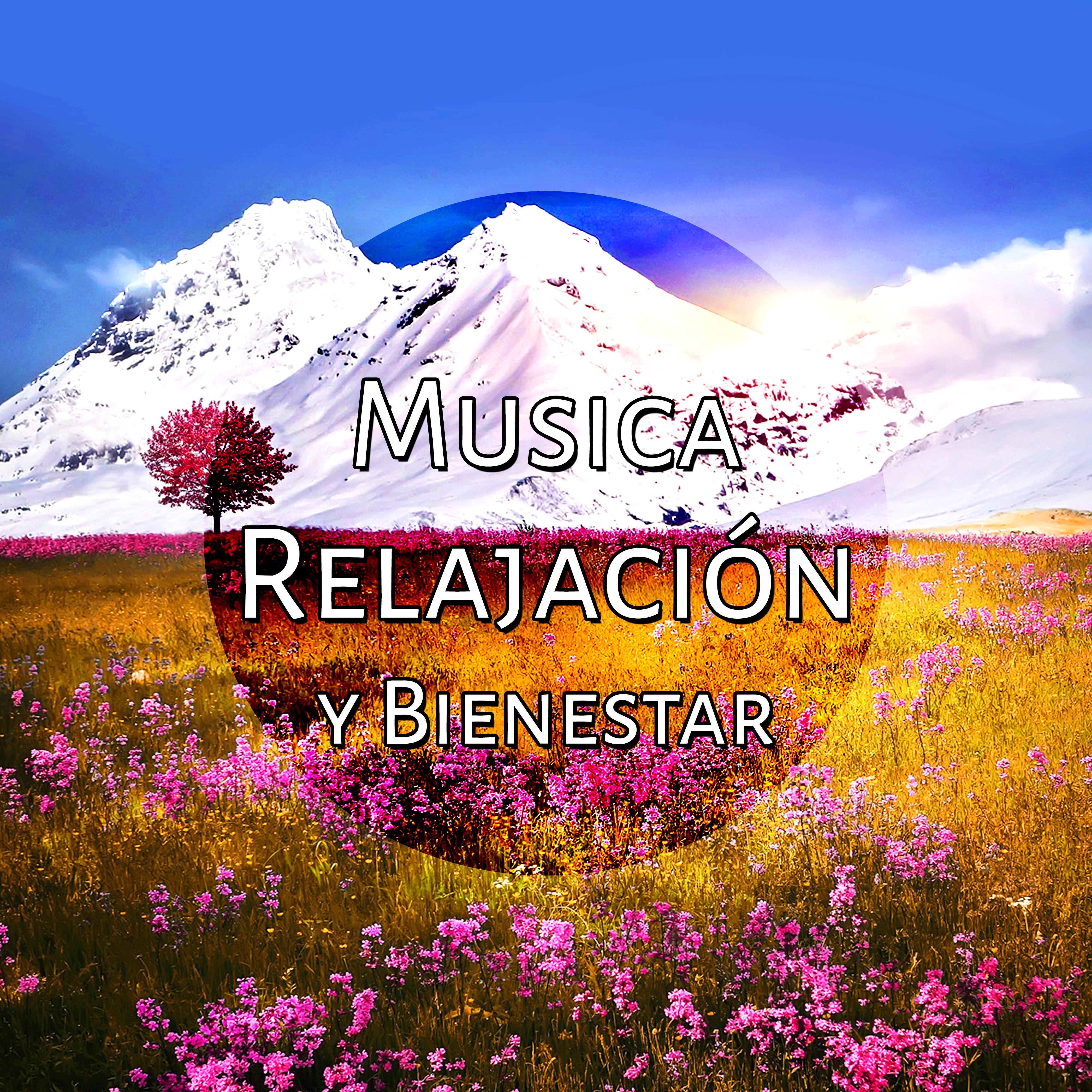 Musica Relajación y Bienestar - Musica de Fondo, Relaxar, Yoga, Música de Spa, Naturaleza, Mantras, Música para Dormir