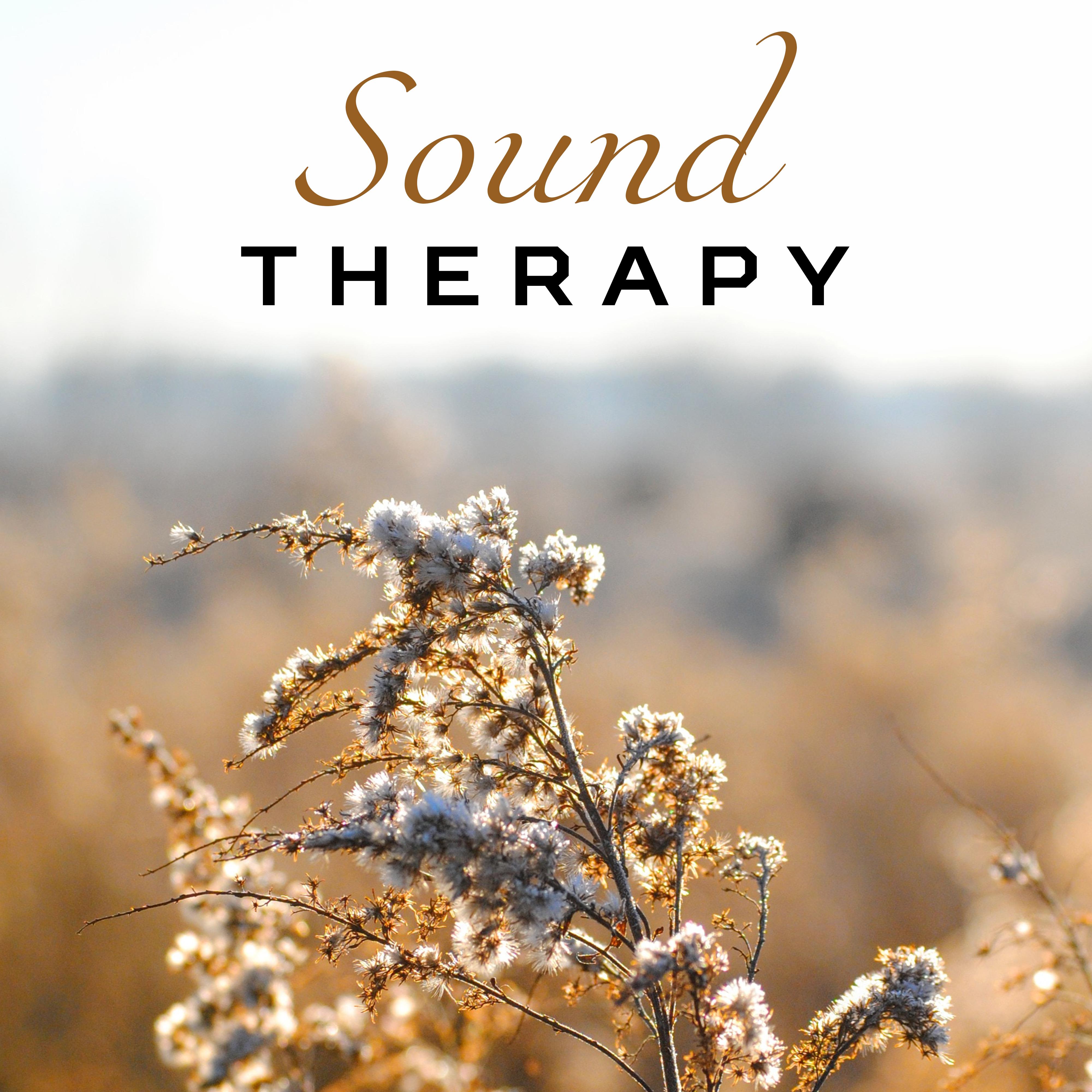 Sound Therapy – Soothing Music, Water Reduces Stress, Peaceful Mind, Meditate, Nature Sounds