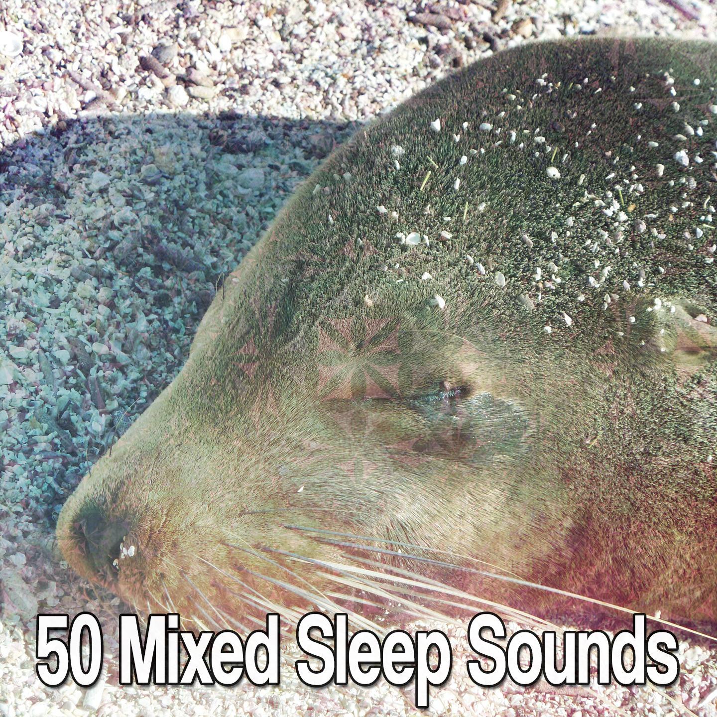 50 Mixed Sleep Sounds