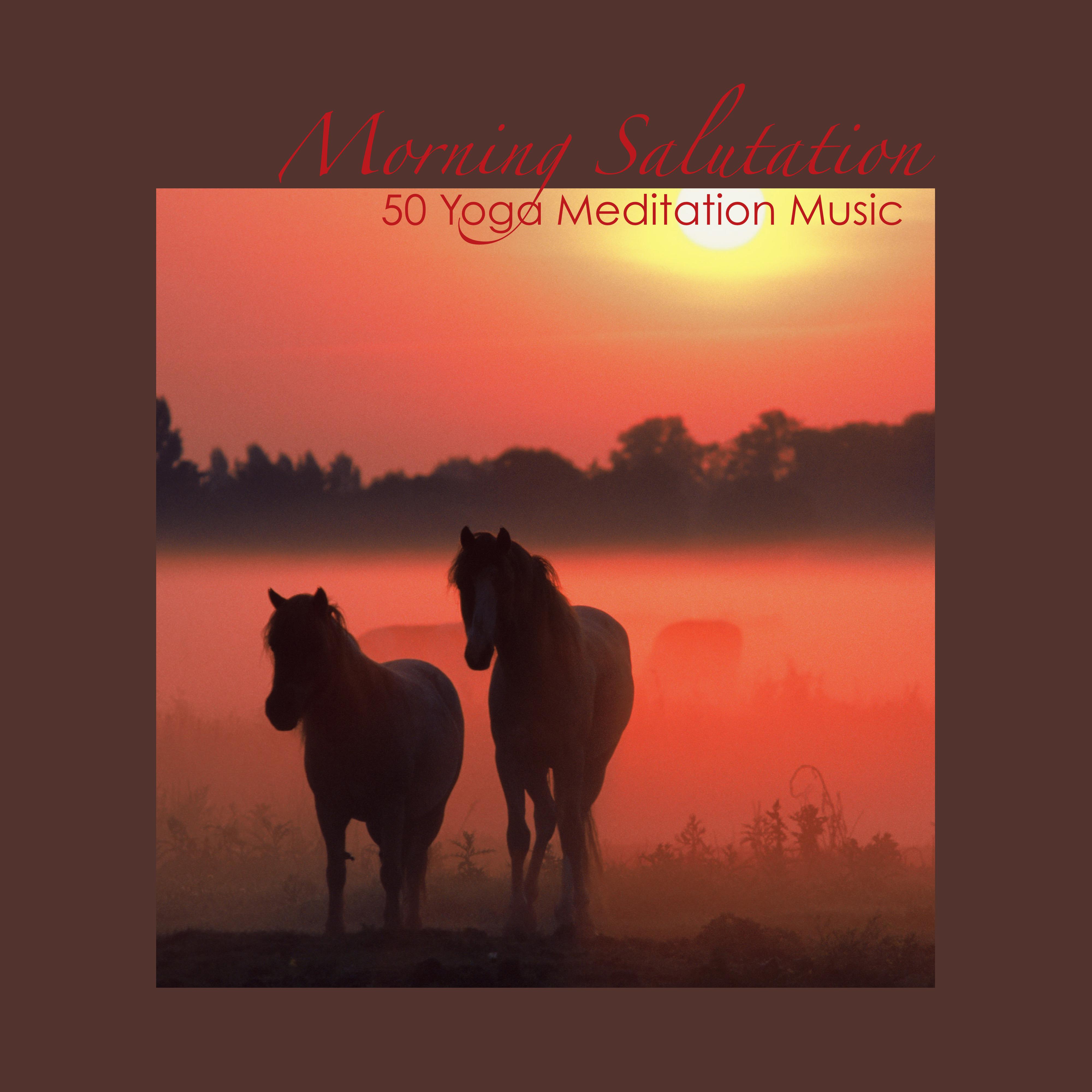 Morning Salutation - 50 Yoga Meditation Music for Relaxation Techniques and Morning Meditation
