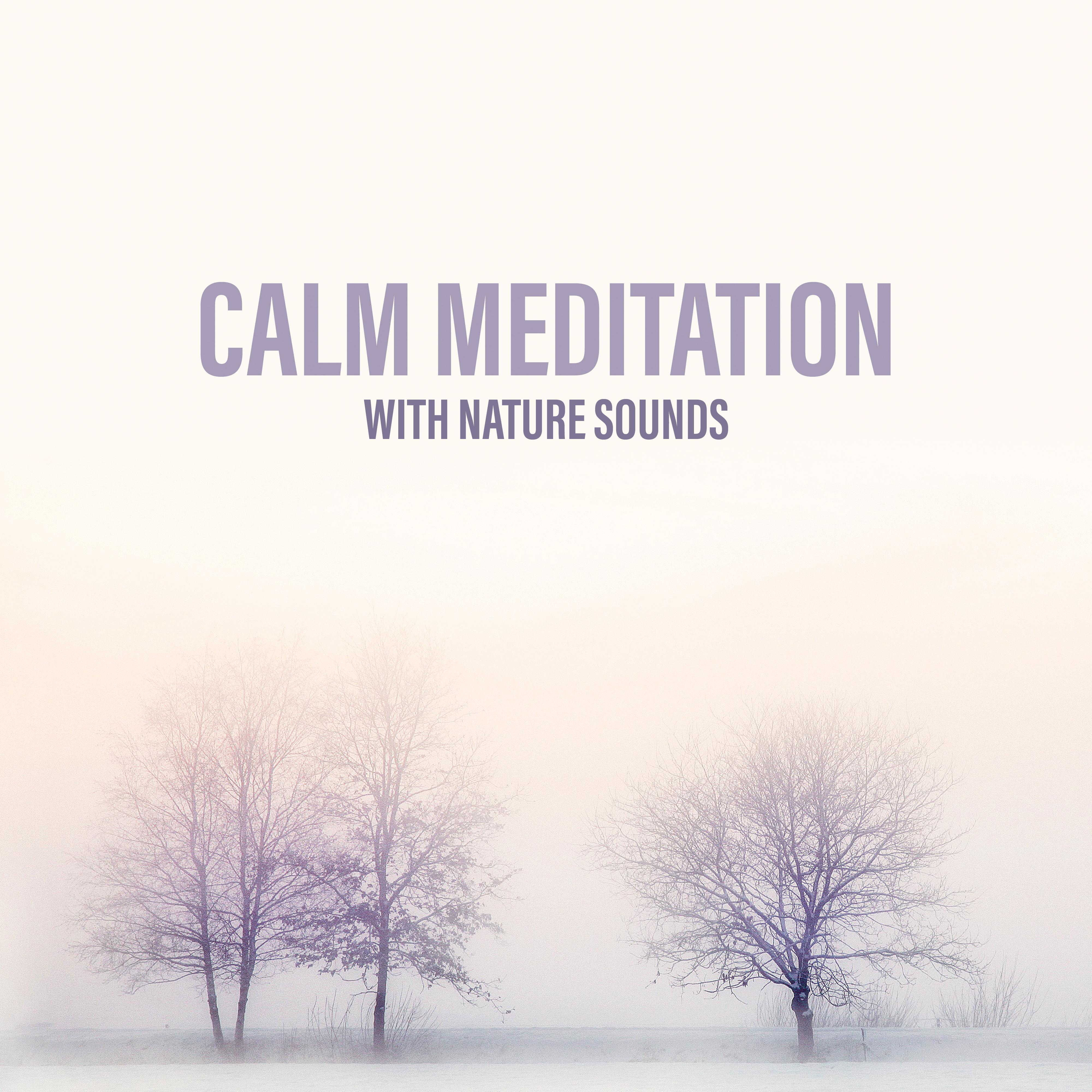 Calm Meditation with Nature Sounds