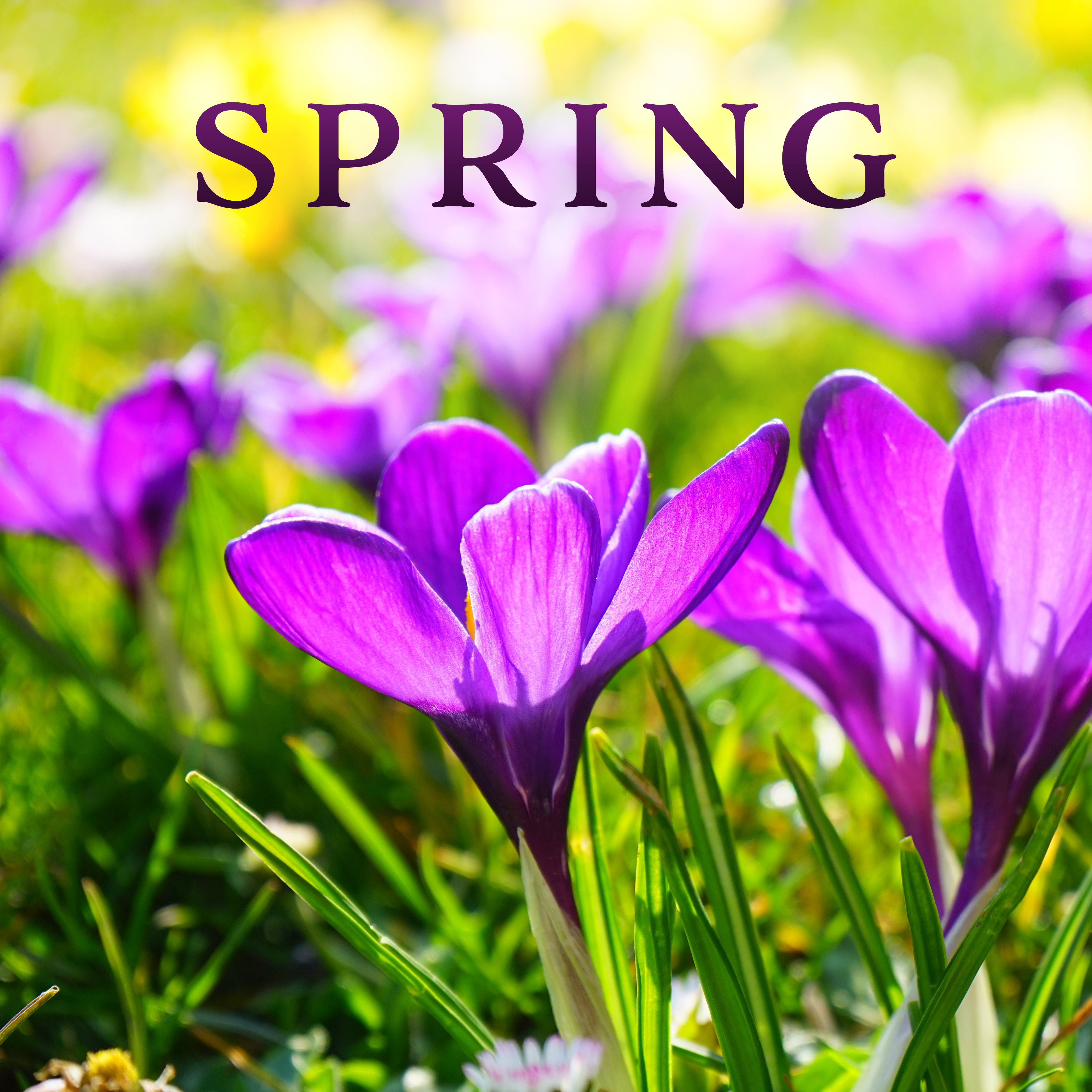 Spring – Relaxed Sounds, Instrumental, Meditation Music, Yoga, Nature Sounds