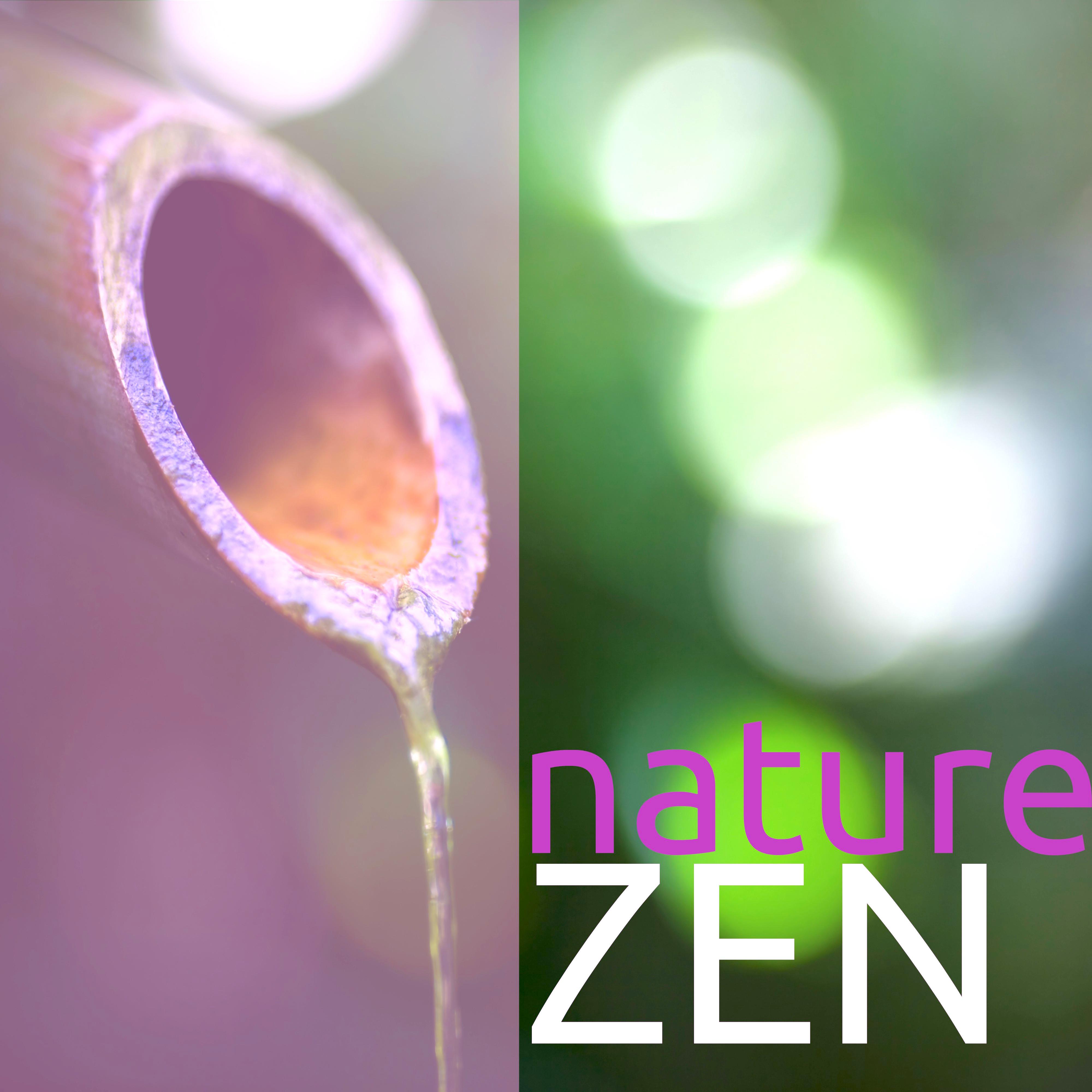 Nature Zen – Musique de la Nature pour Se Détendre, Massage, Méditation et Relaxation