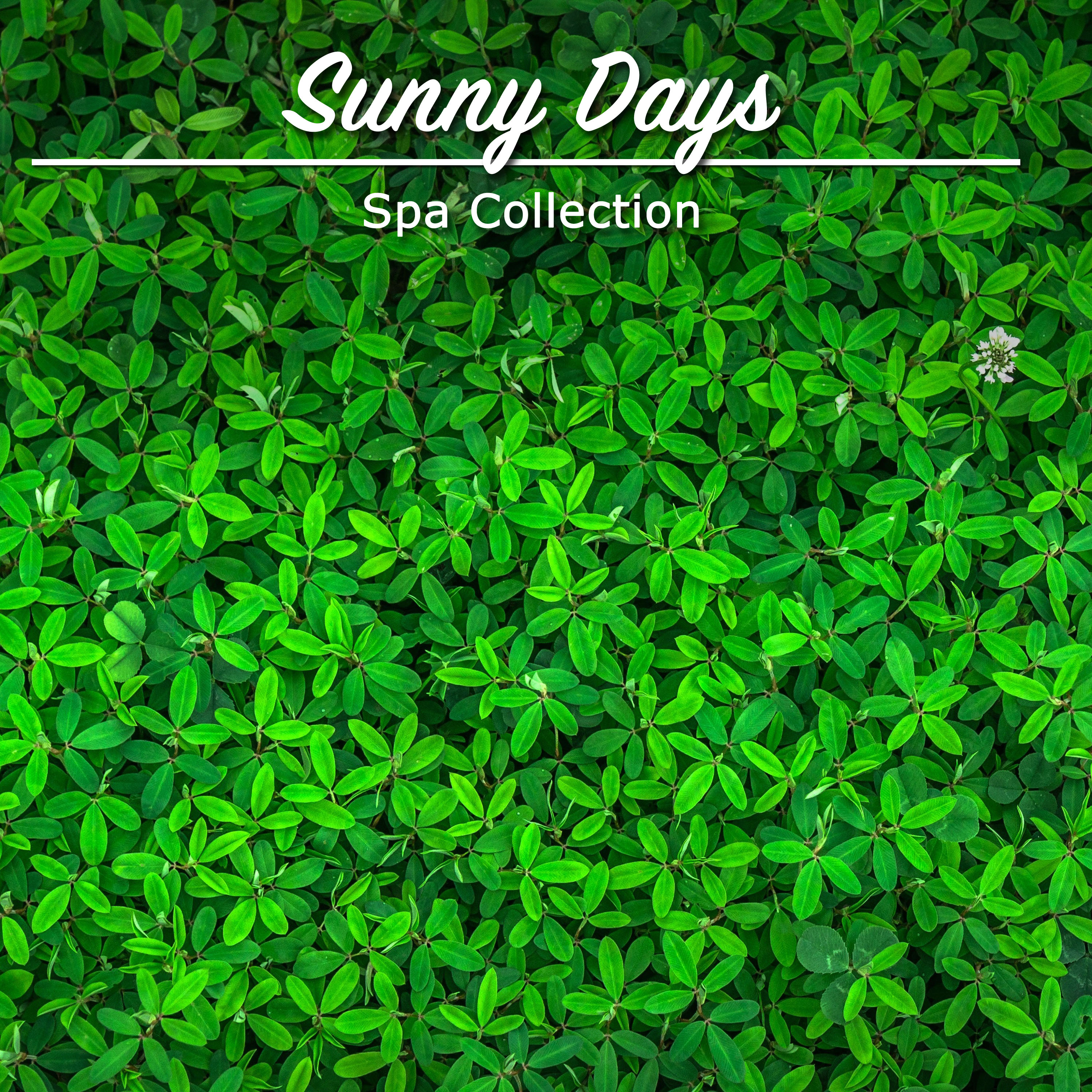 14 Sunny Days Spa Music Collection