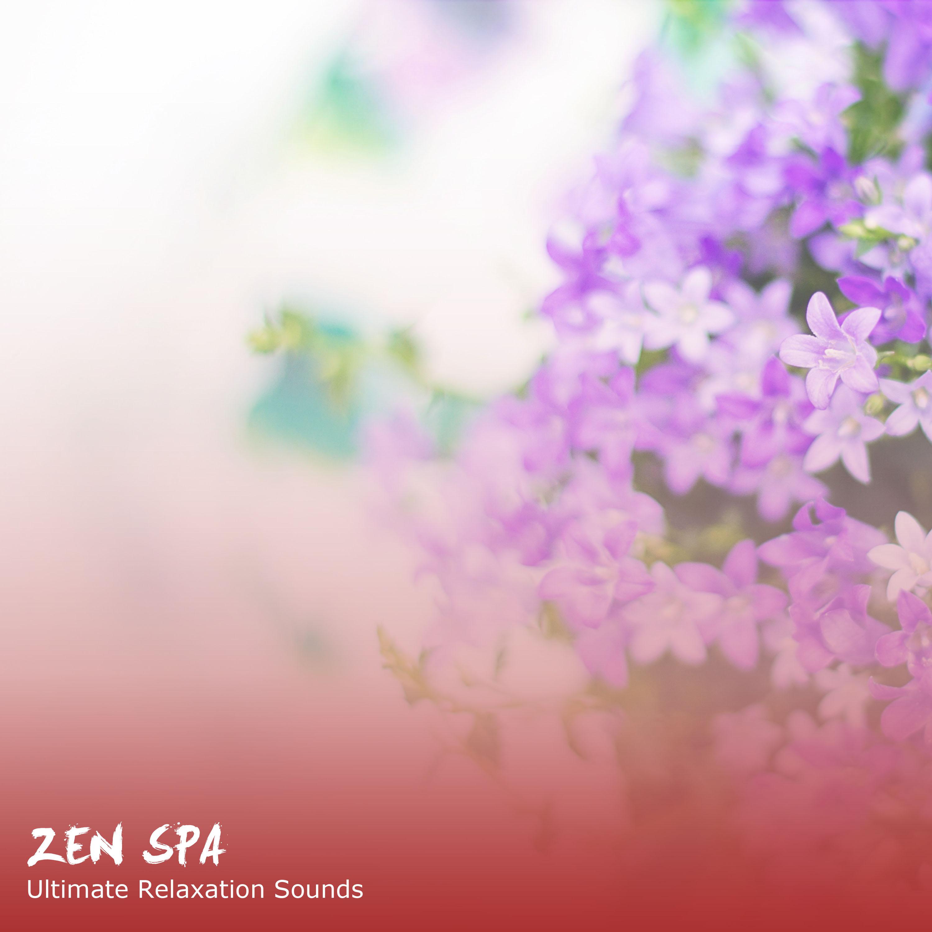 19 Zen Spa and Ultimate Relaxation Sounds