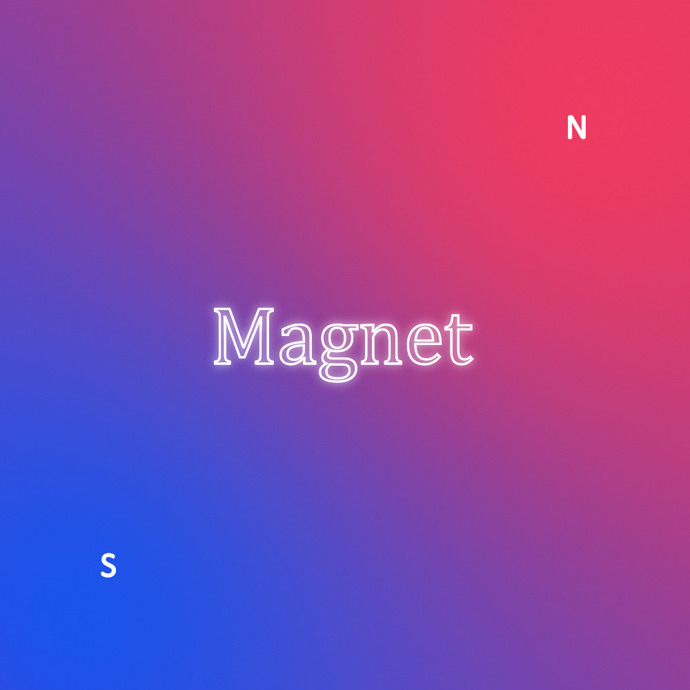 Magnet