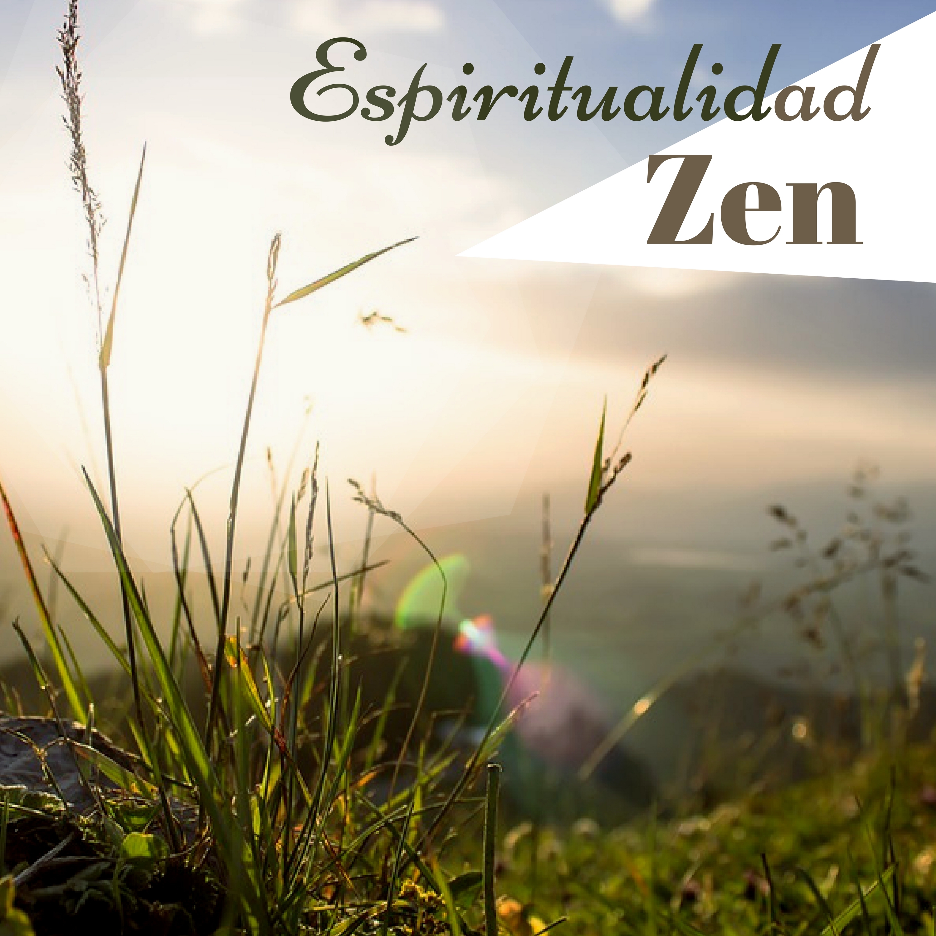 Espiritualidad Zen