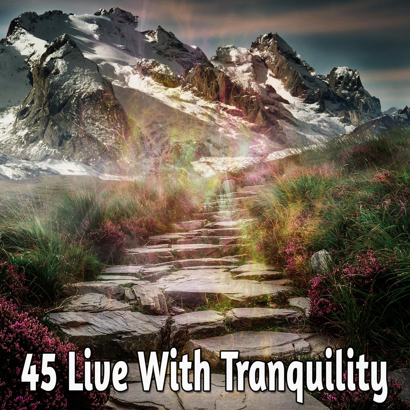 45 Live With Tranquility