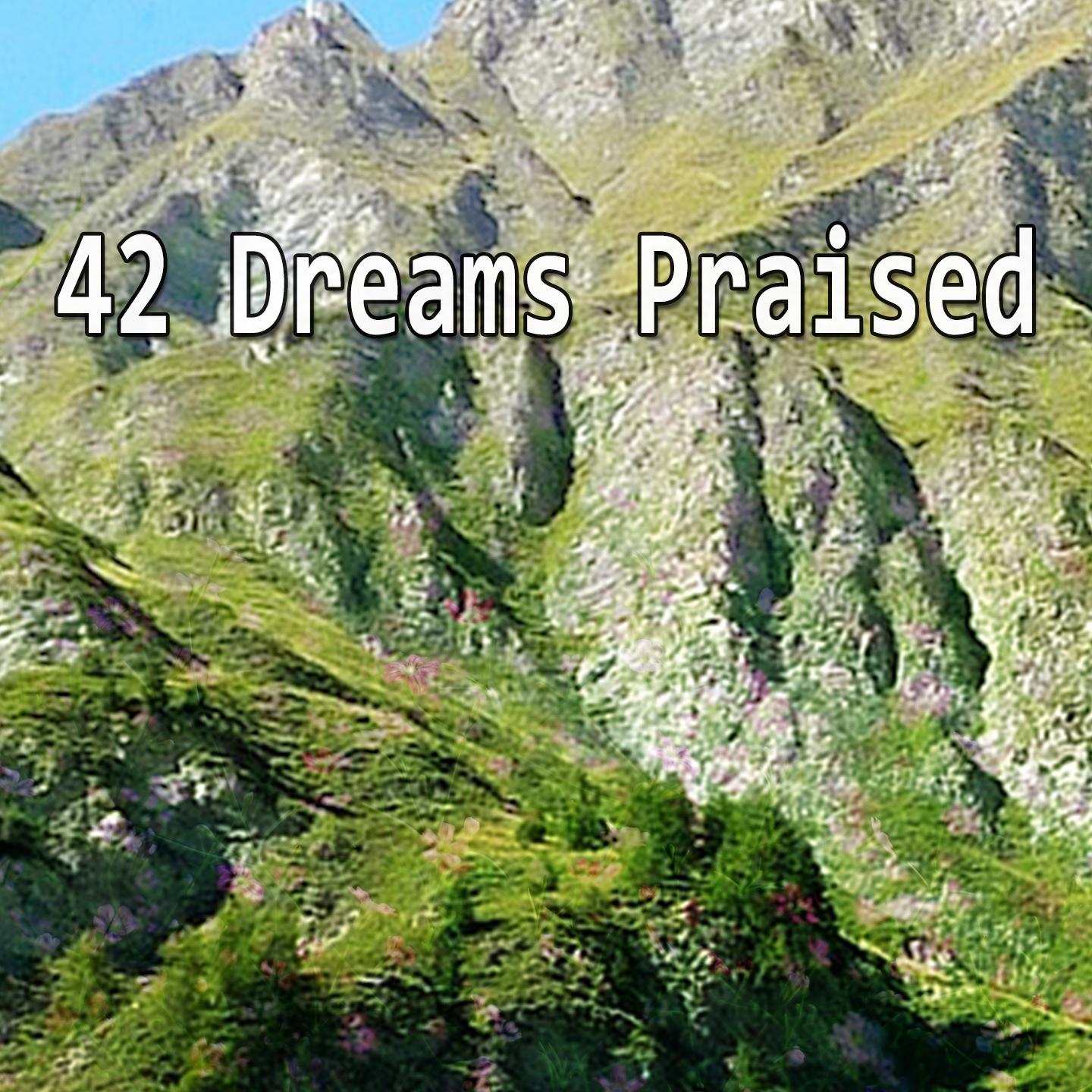 42 Dreams Praised