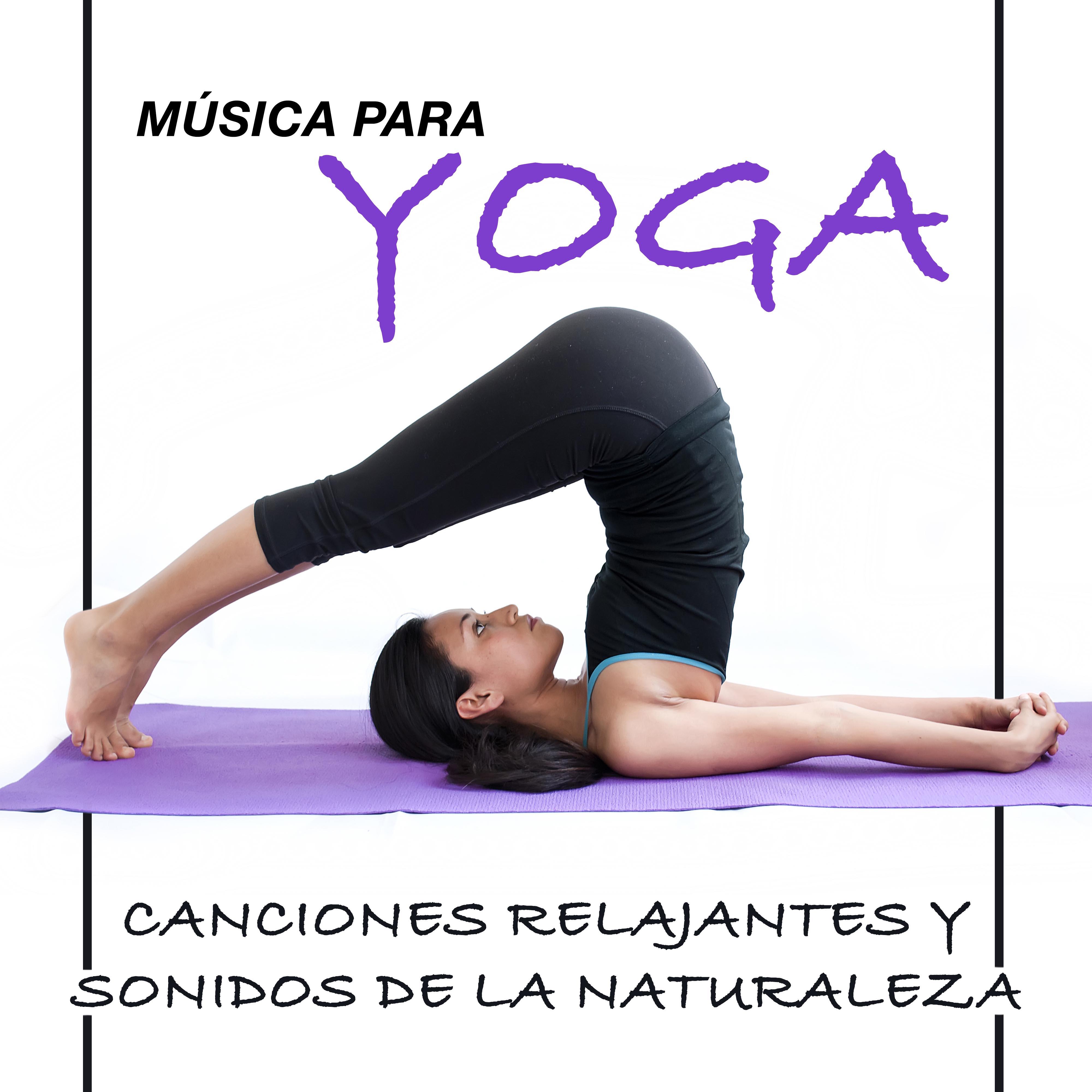 Música para Yoga - Canciones Relajantes y Sonidos de la Naturaleza para Posiciones de Yoga