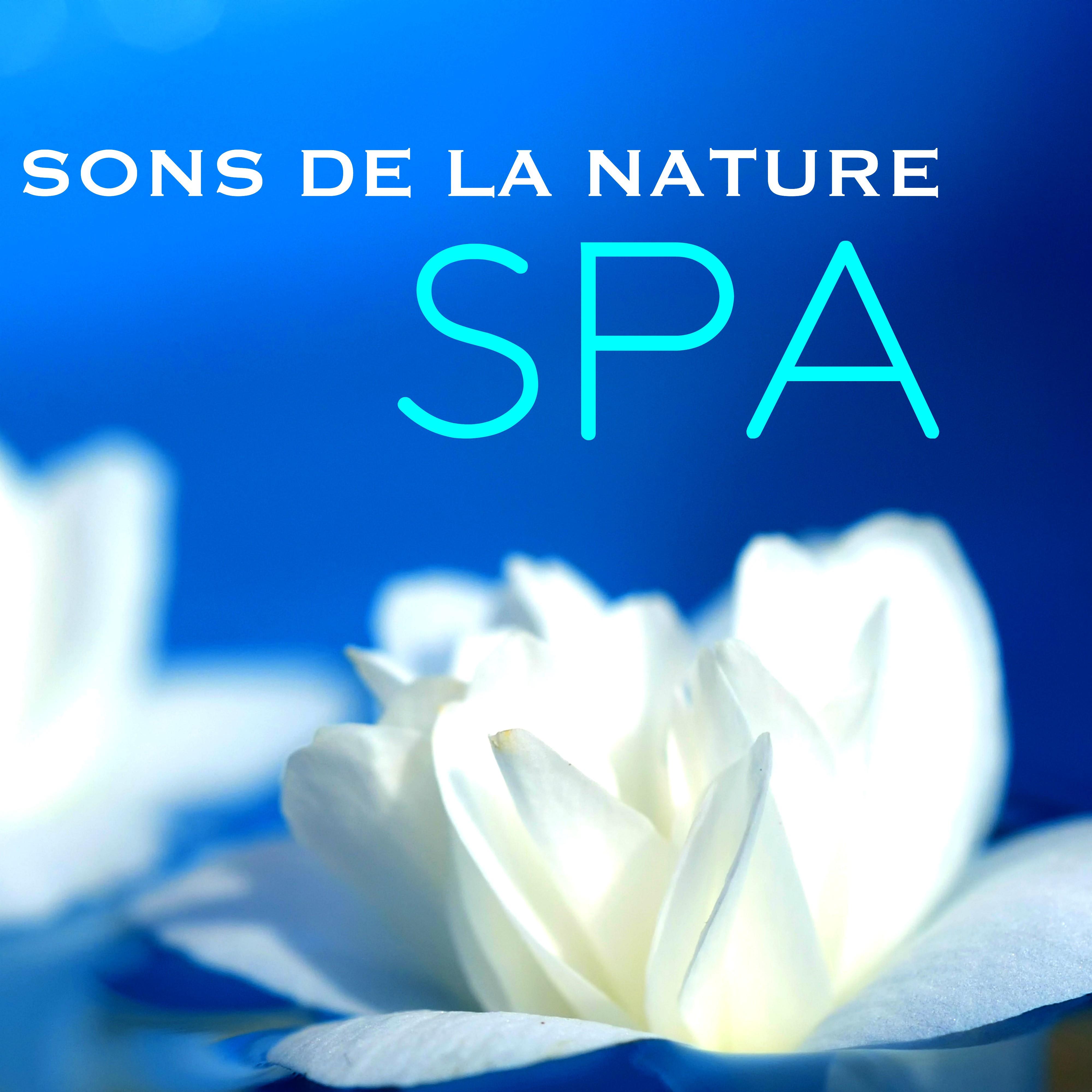 Sons de la Nature – Spa: Musique Relaxante pour Spa, Reiki, Yoga, Massage et Détente