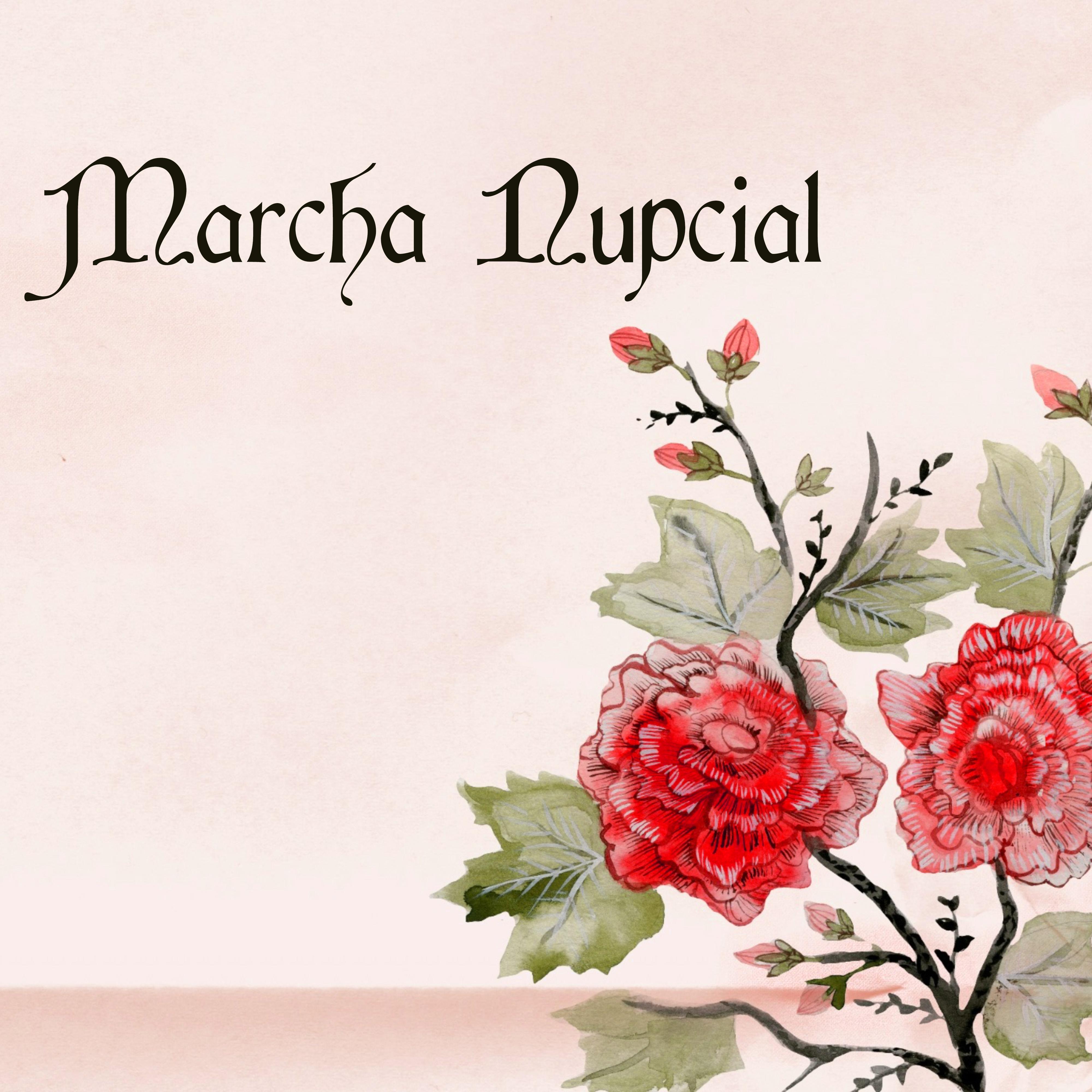 Marcha Nupcial - Música Orquestal para Bodas y Canciones Romanticas para Casarse