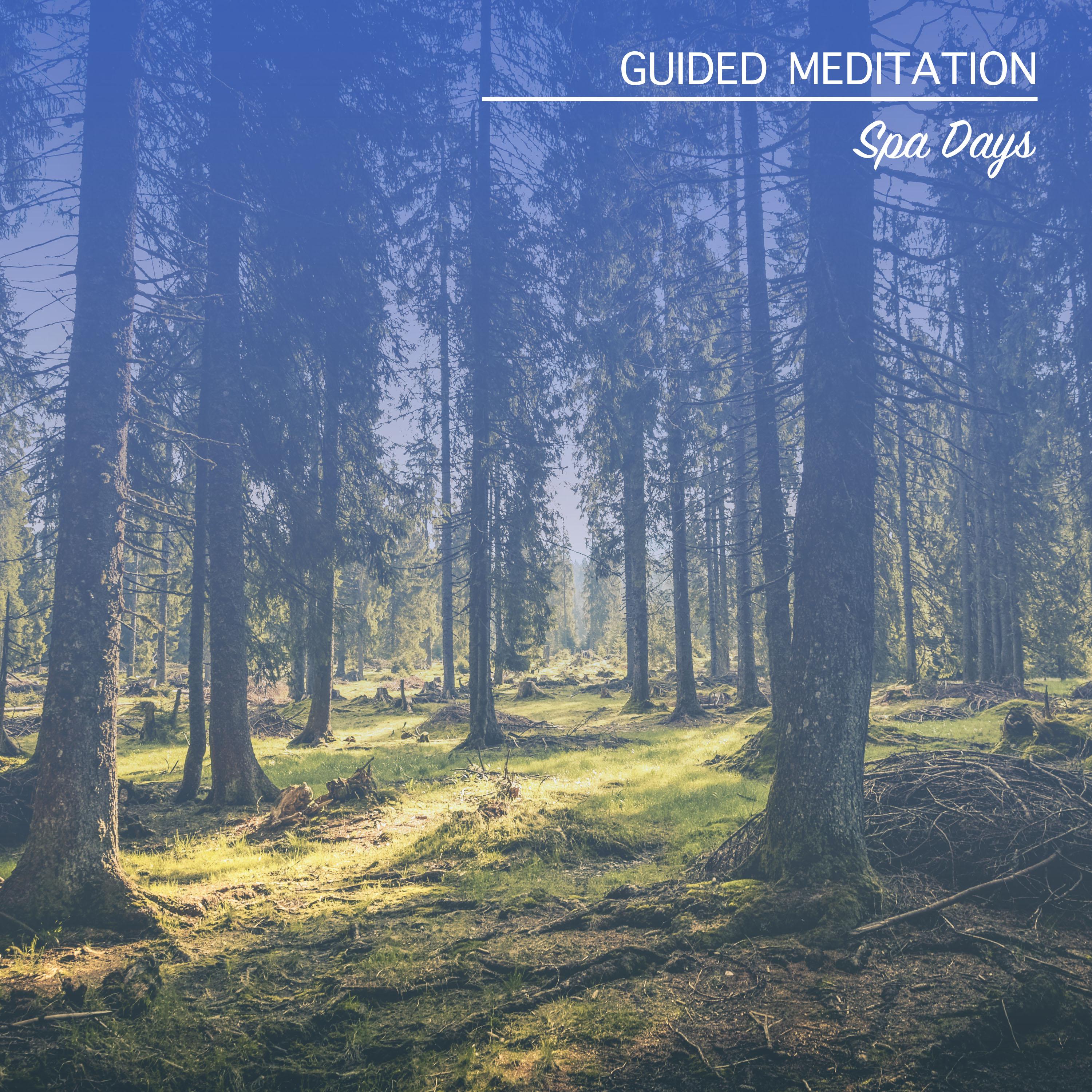 13 Idealic Songs for Guided Meditation and Spa Days