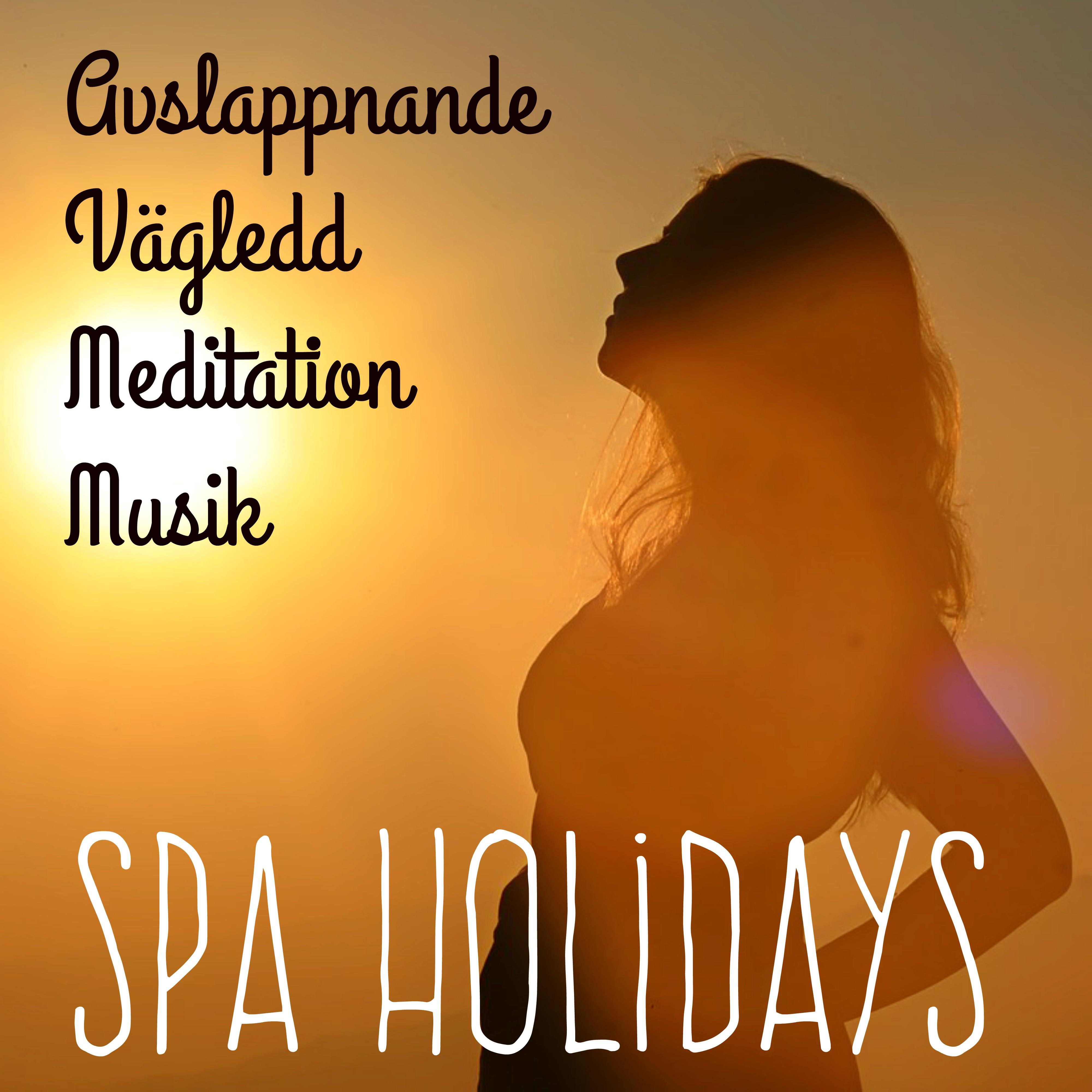 Spa Holidays - Avslappnande Vägledd Meditation Musik för Studie Helande Massage Problemlösning med Instrumental New Age Natur Ljud