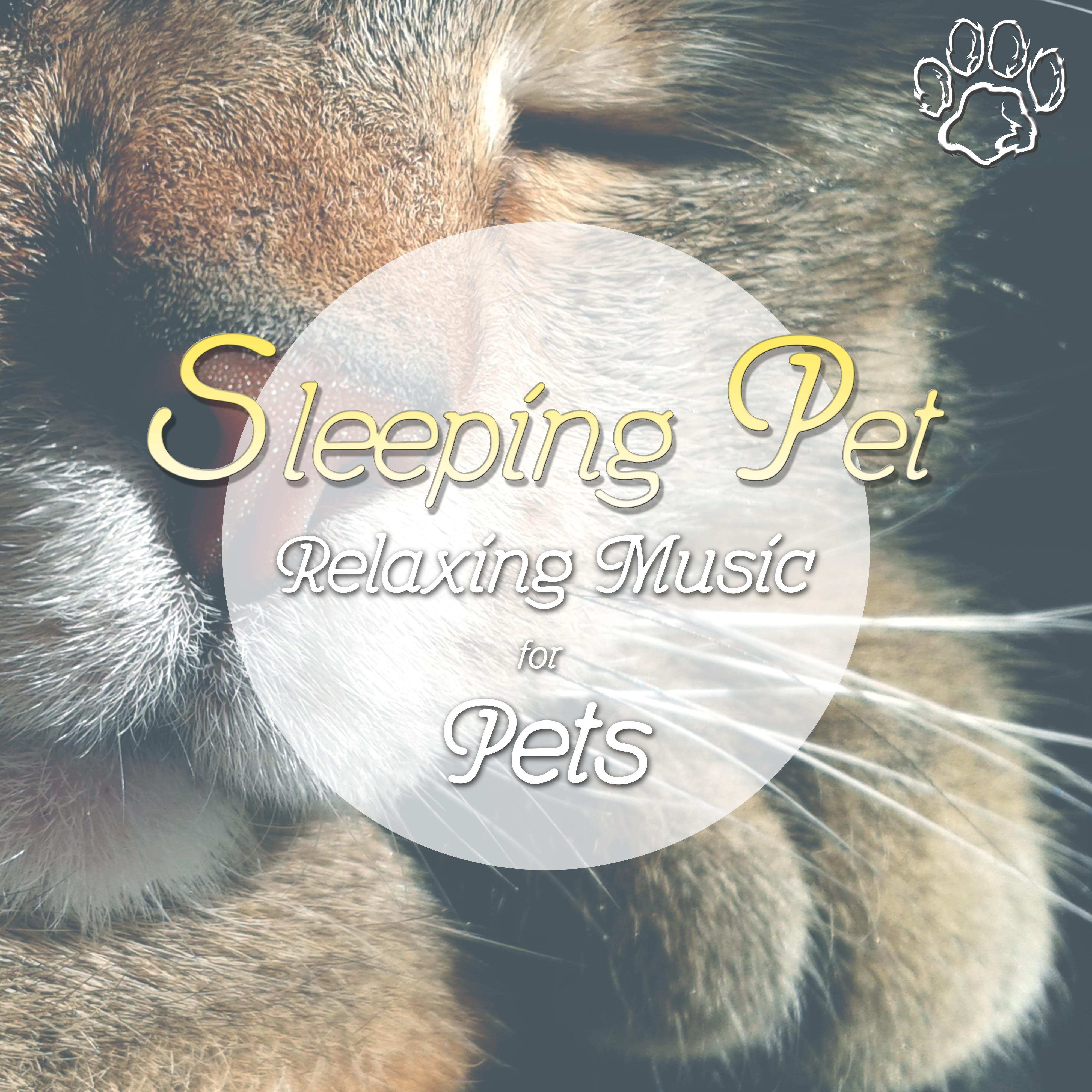 Sleeping Pet - Incredibly Relaxing Music for your Best Friend with Calming Songs and Nature Sounds