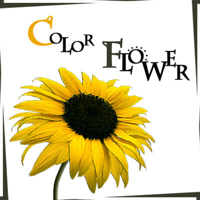 Color Flower