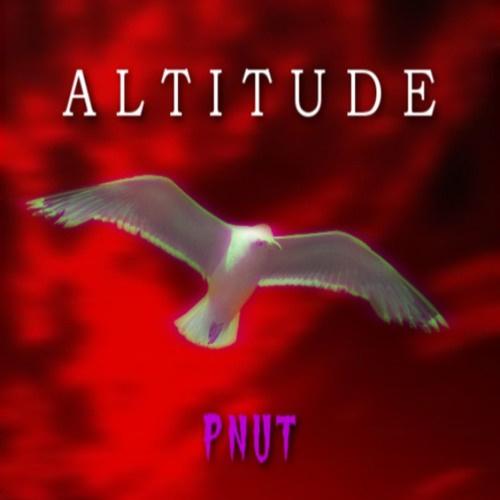 ALTITUDE