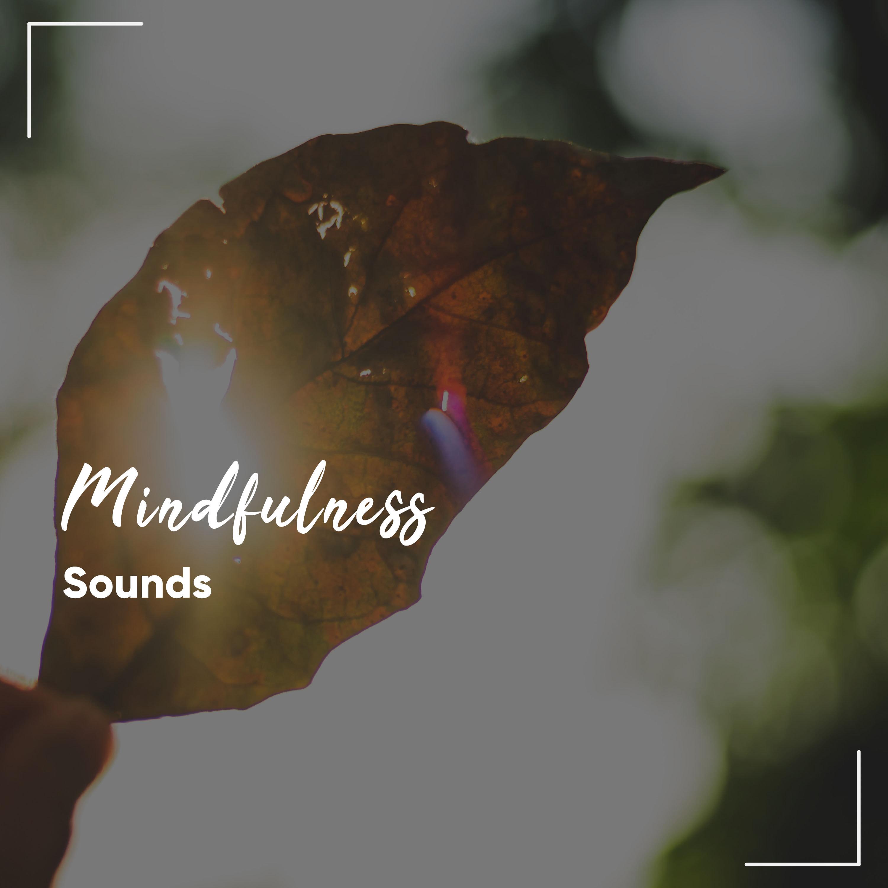 #16 Mindfulness Sounds for Soothing Spa Experience