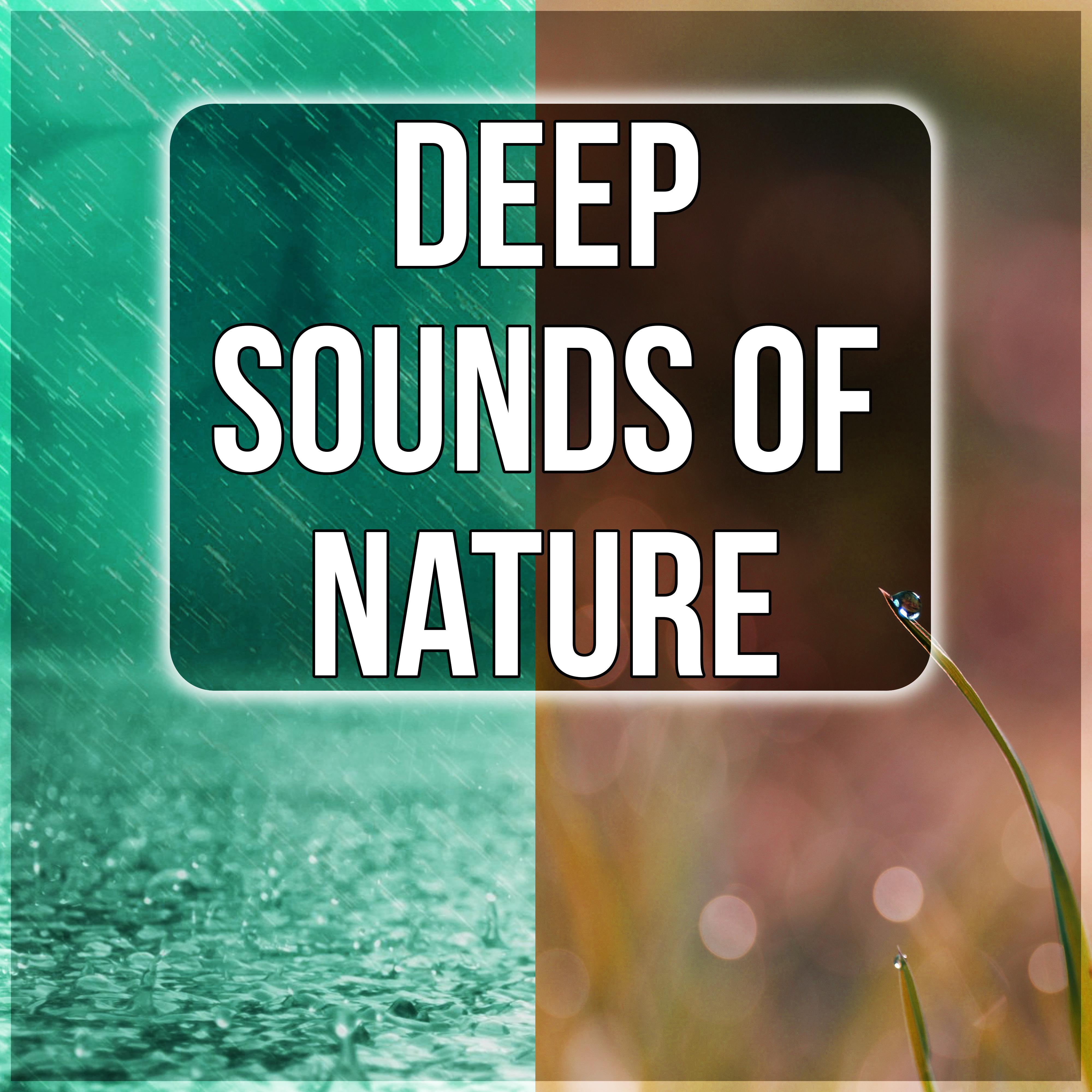 Deep Sounds of Nature - Instrumental Music, Massage Therapy, Natural Music, Spa Music, New Age, Waves