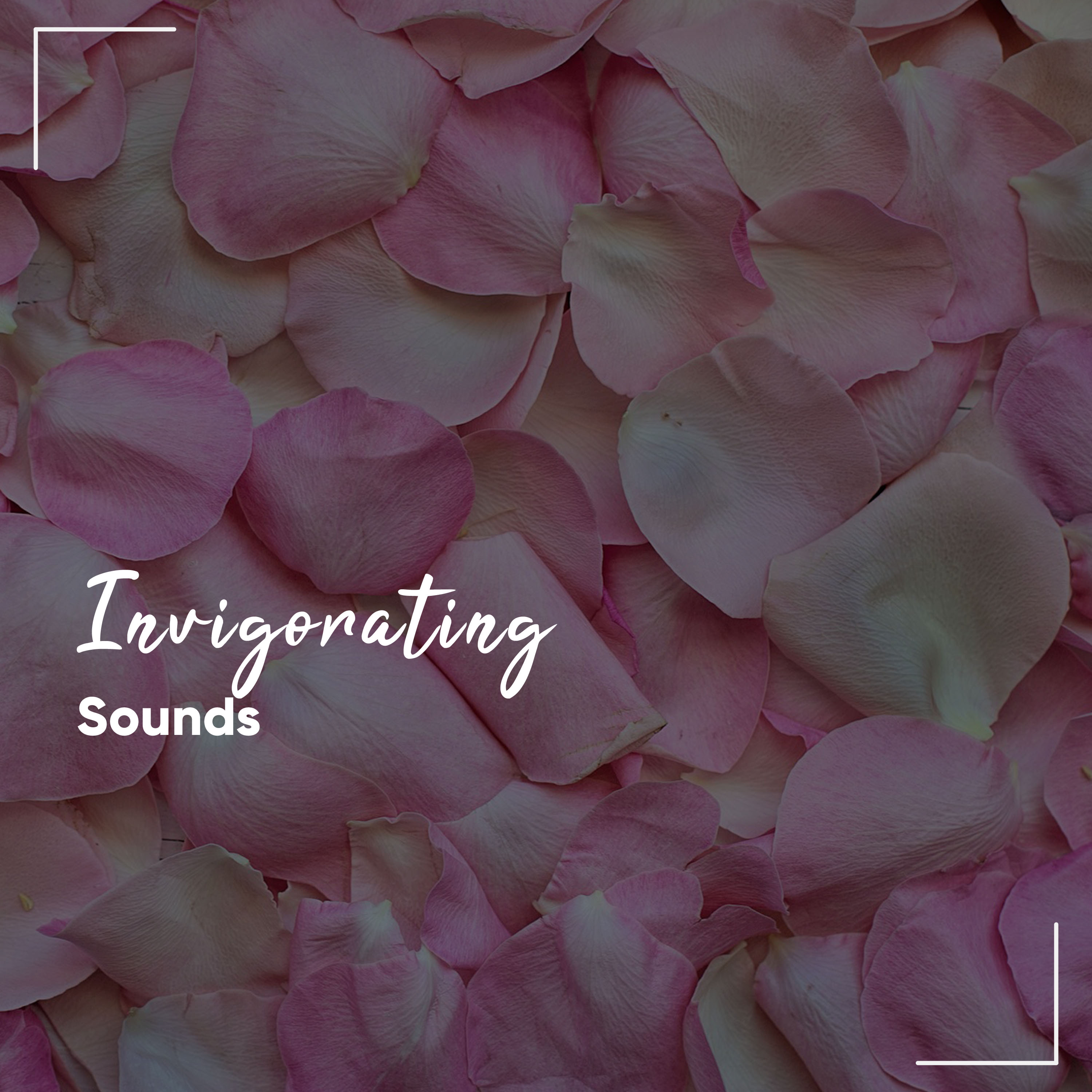 #18 Invigorating Sounds for Asian Spa, Meditation & Yoga