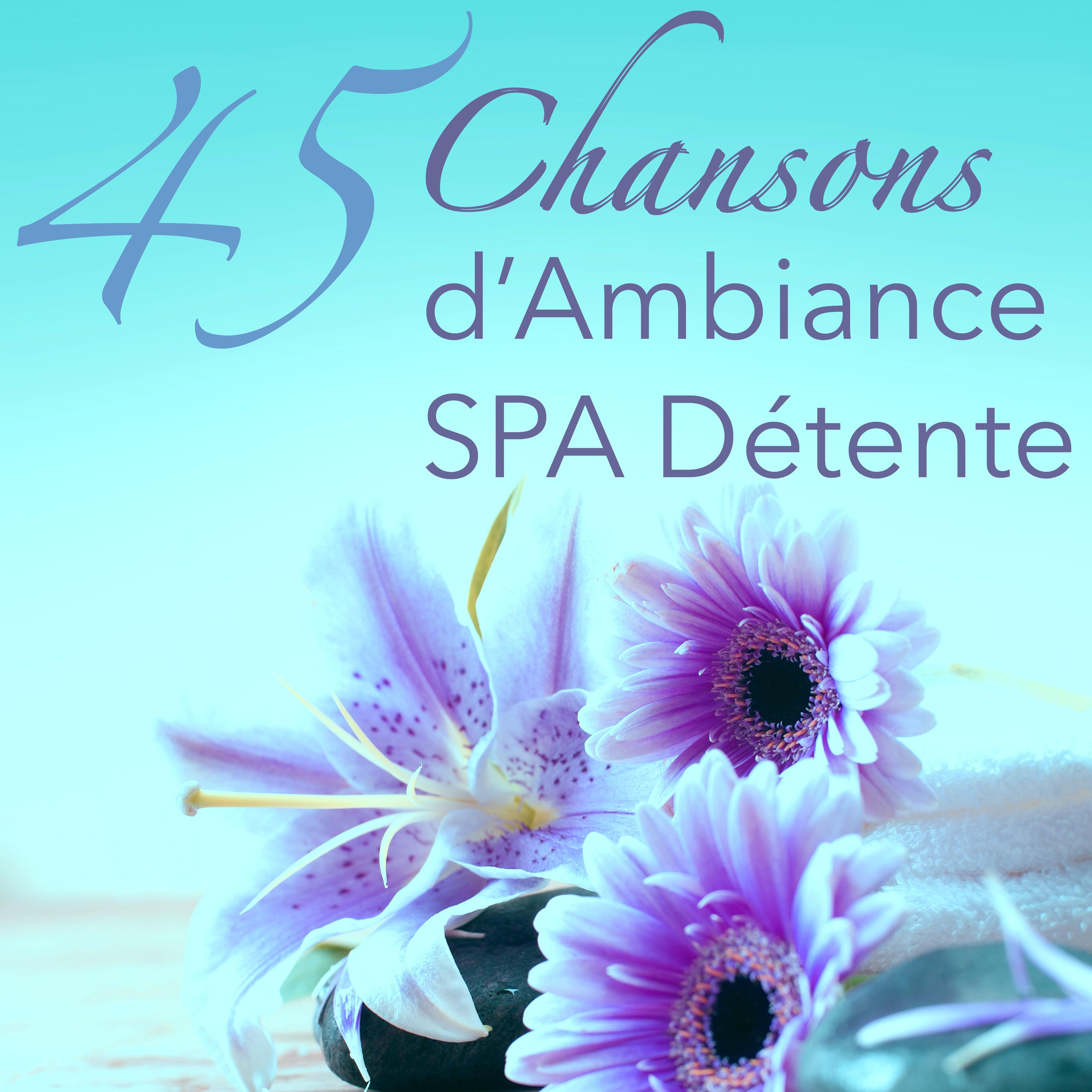 45 Chansons d’Ambiance Spa Détente - Musique Zen Relaxant pour Spa, Zen, Méditation, Yoga et Massage