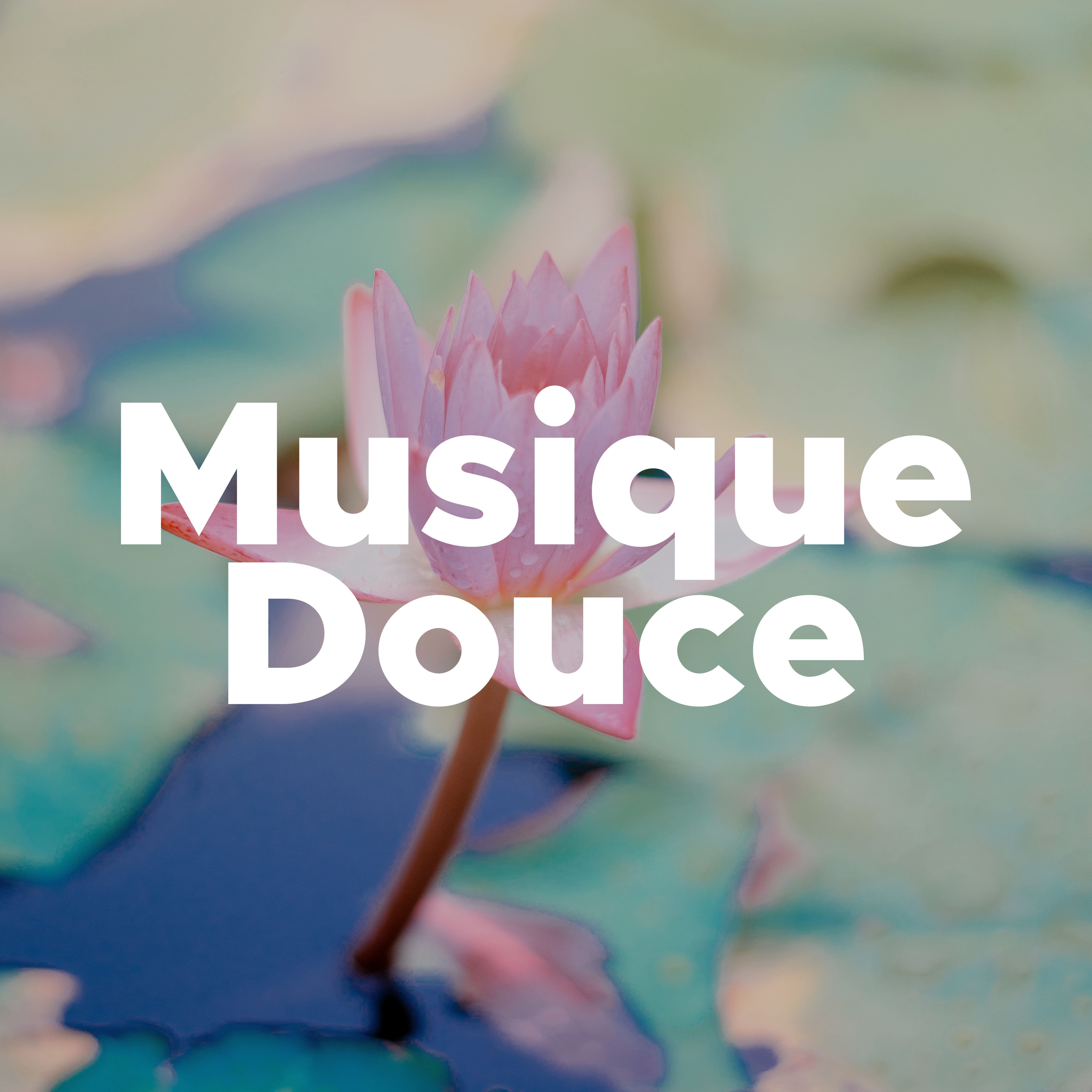 Musique Douce - Musique Instrumentale