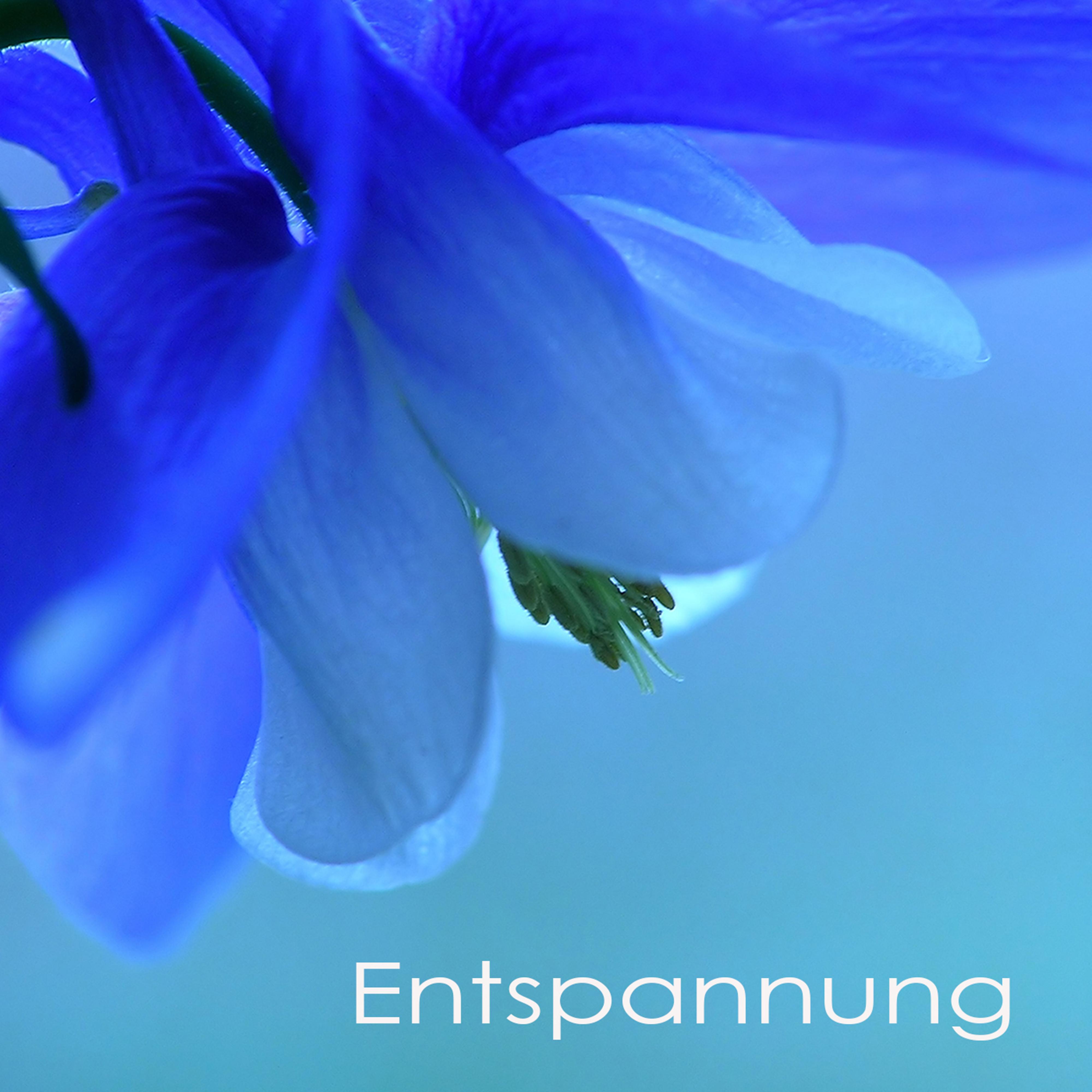 Entspannung - Entspannungsmusik und Naturgeräusche, New Age Flöte und Klaviermusik für Entspannung